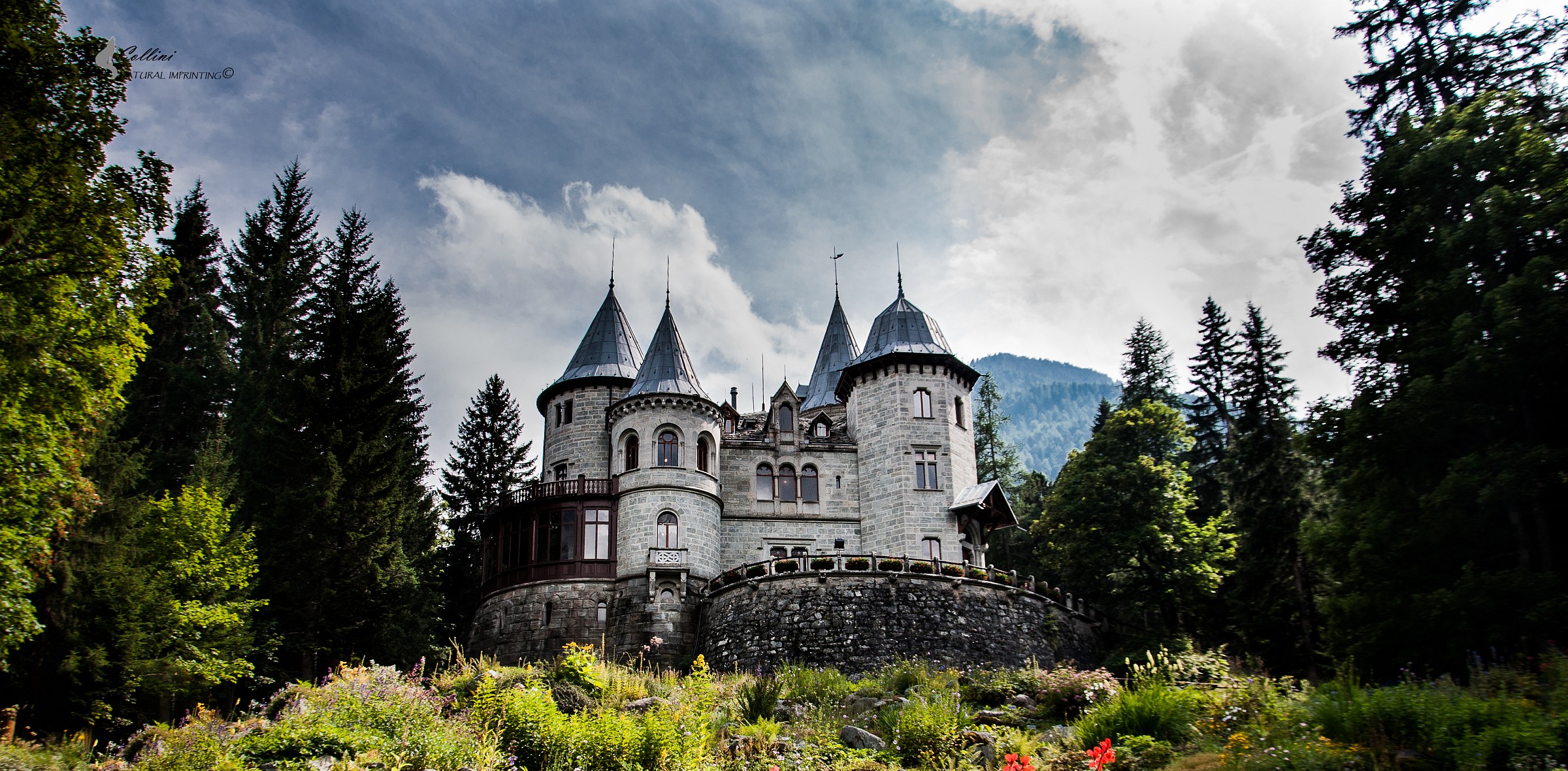 "The Enchanted Castle"