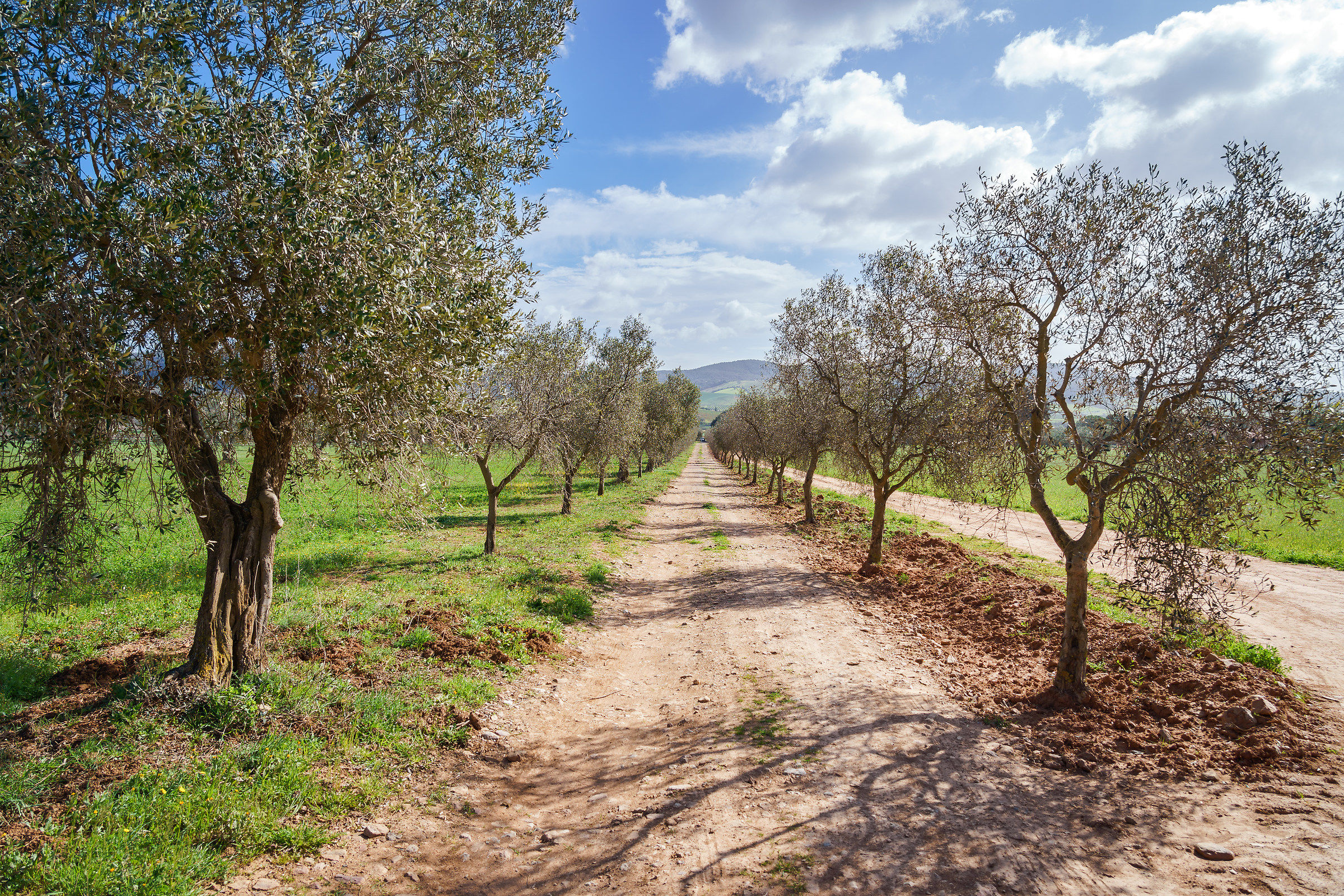 test A7iii + 24-105 oss f4