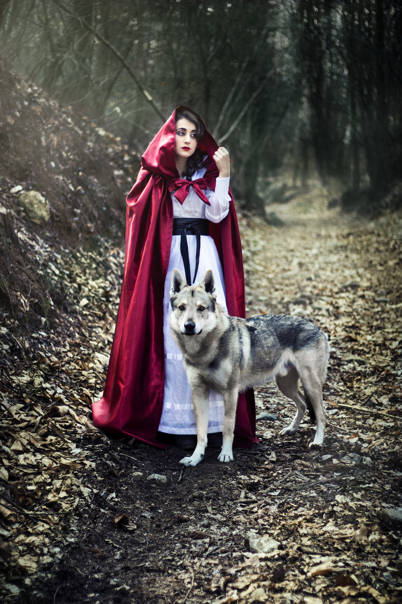 togheter in the woods