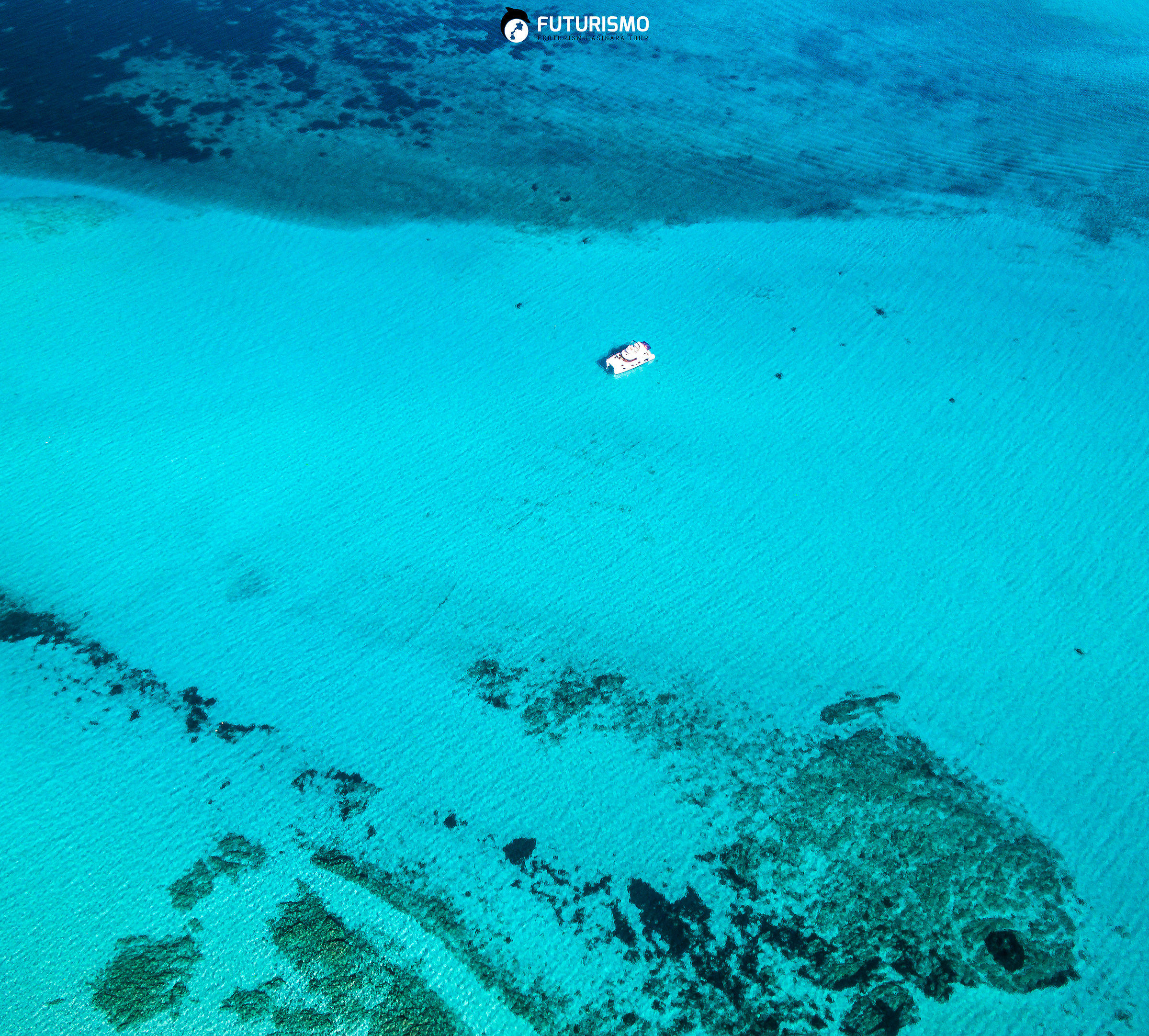 Between quartz and Posidonia
