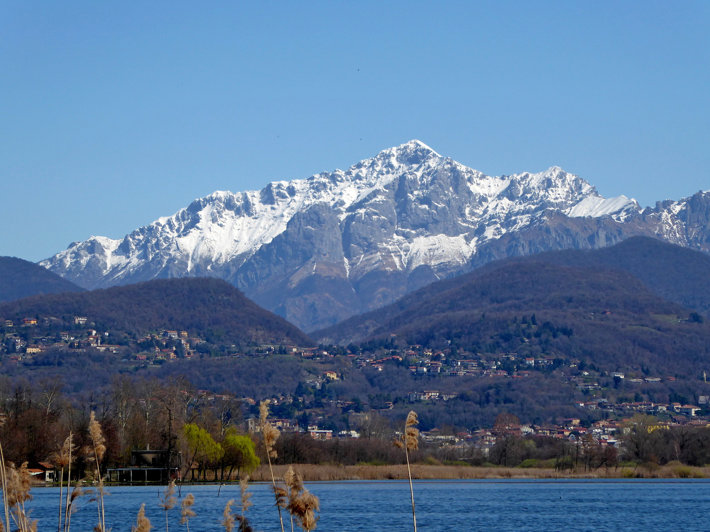 cartolina da Alserio