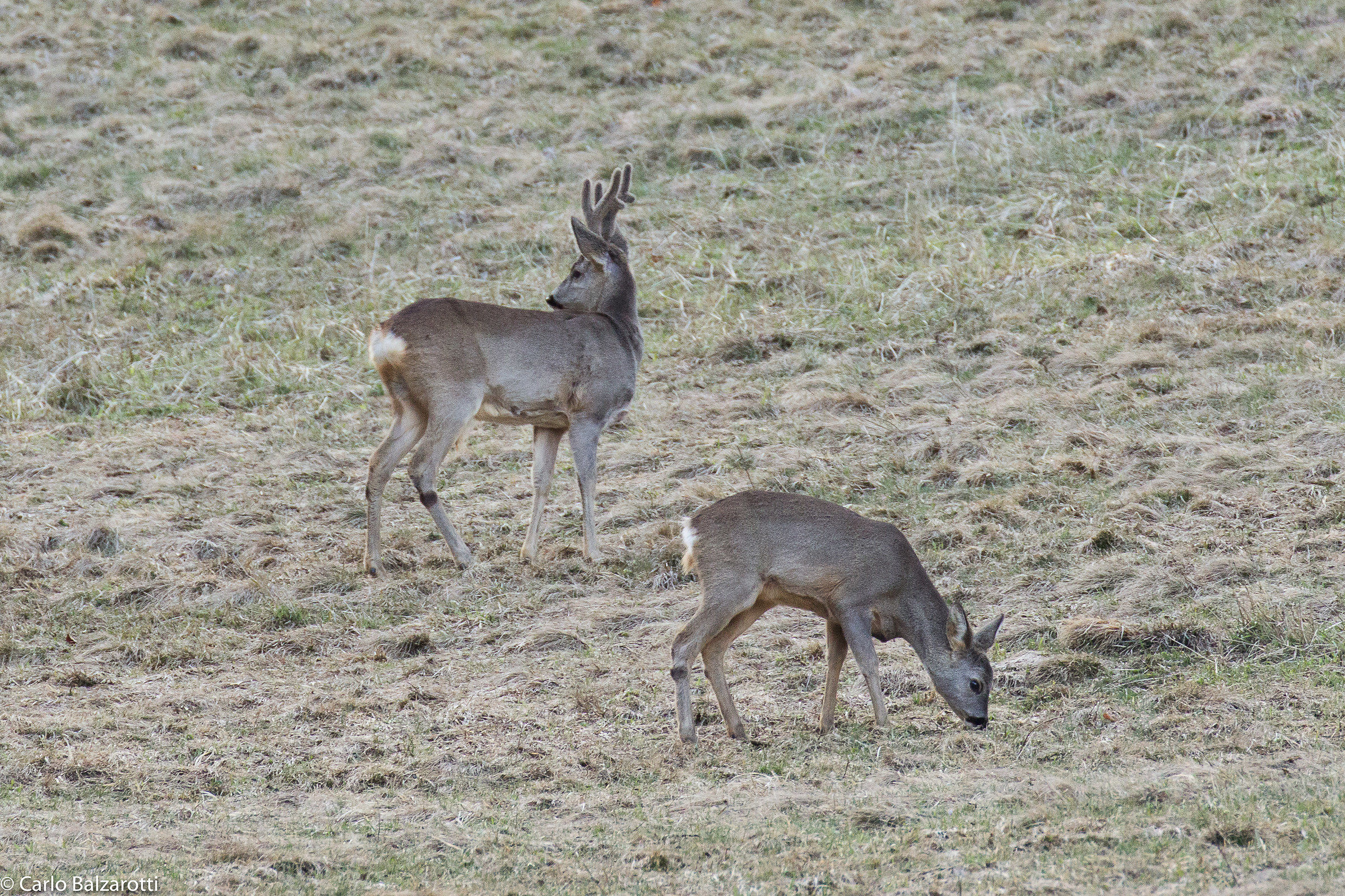 L'inverno è passato