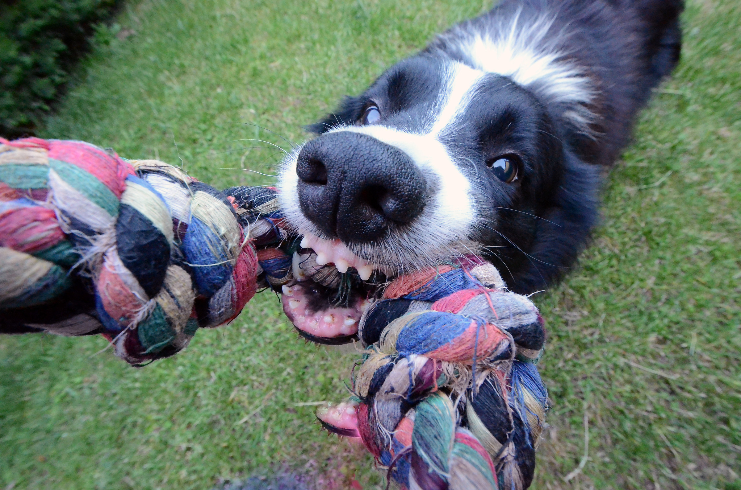 tira, tira, tiraaaaa