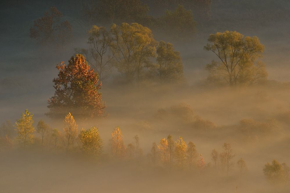 pian piano si fa giorno