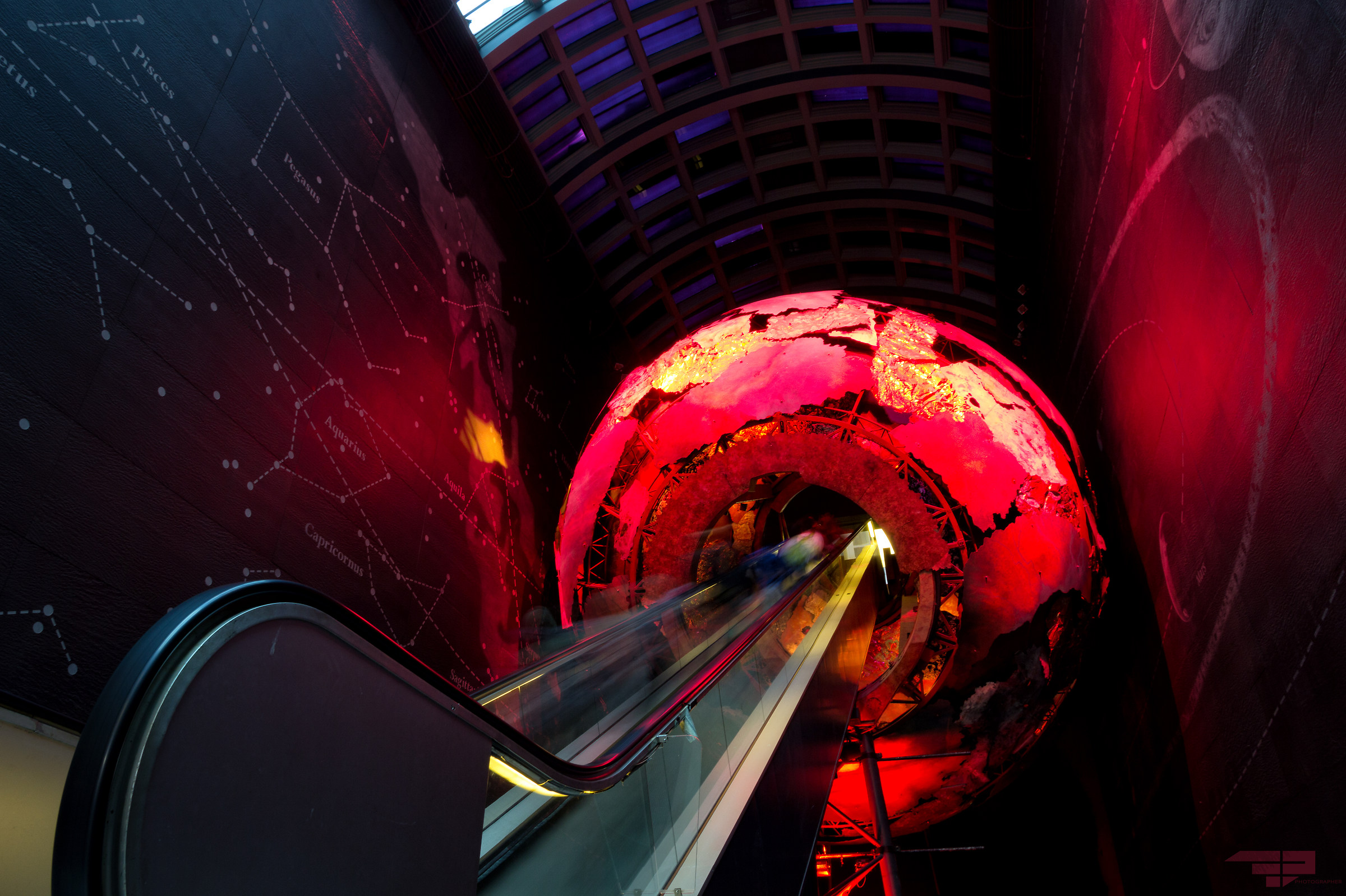 All'interno del Natural History Museum