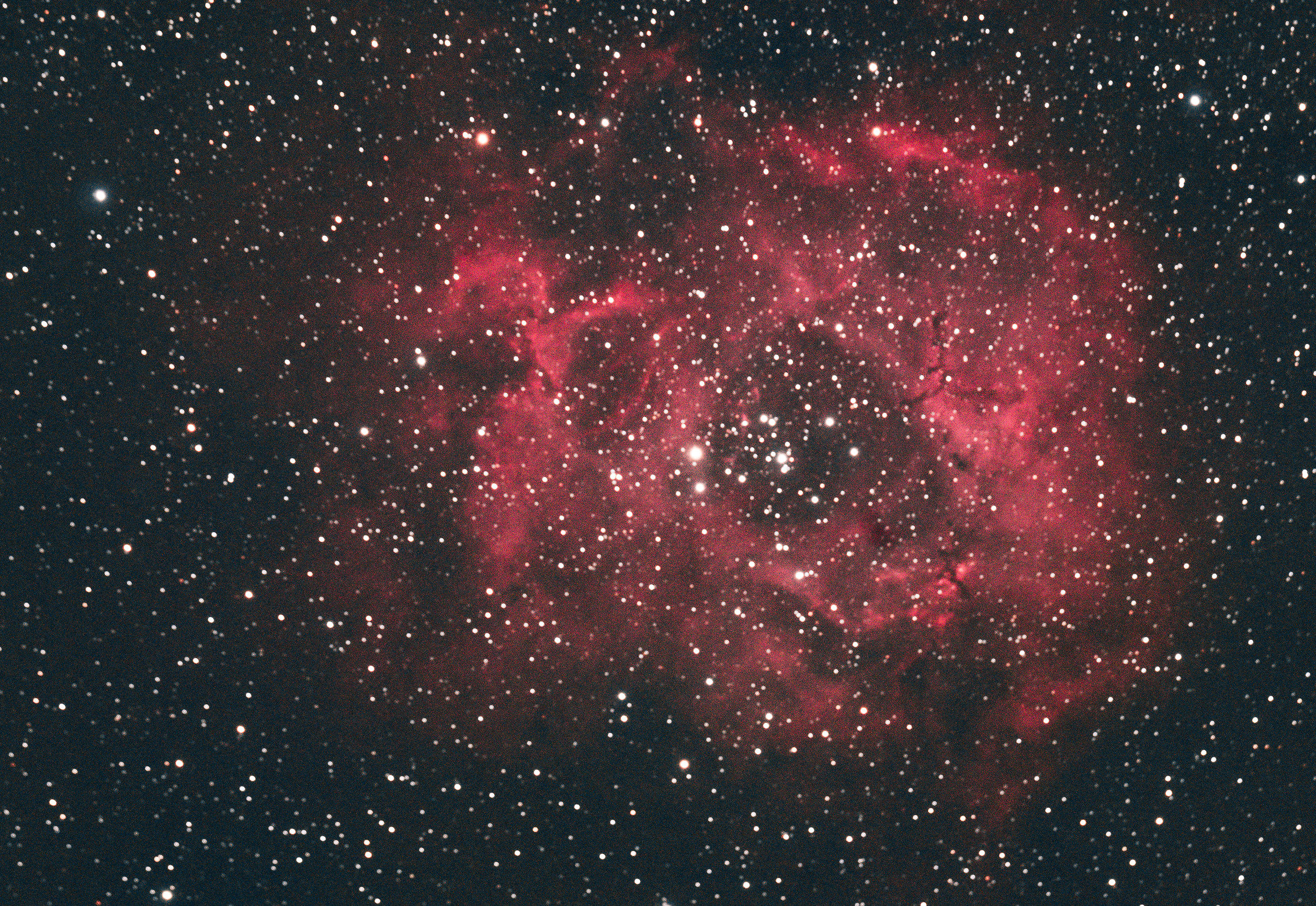 Nebulosa Rosetta ( Ngc 2237 )
