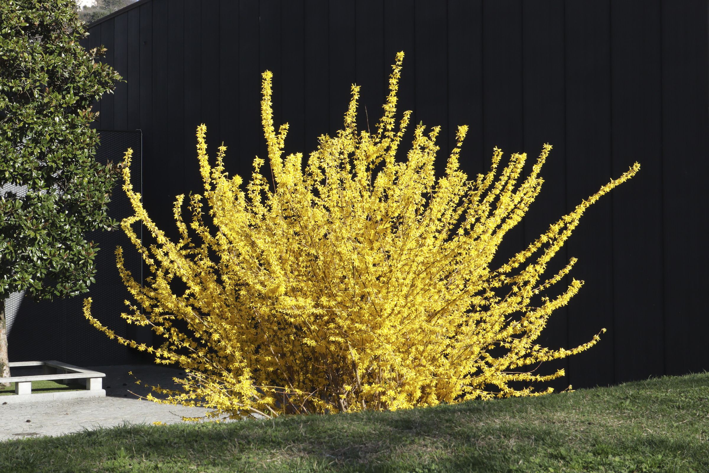 EOS M50 con 15-45 3.5-6.3 IS STM senza foto ritocco