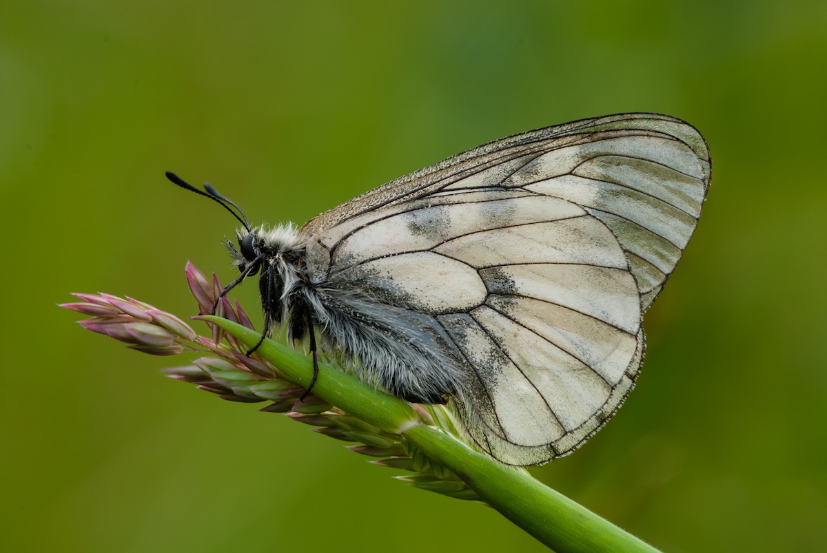 Alla fine dell' estate