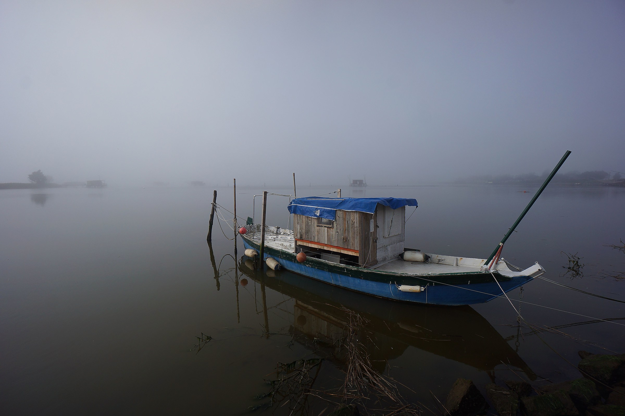 Aspettando che dissolva la nebbia.