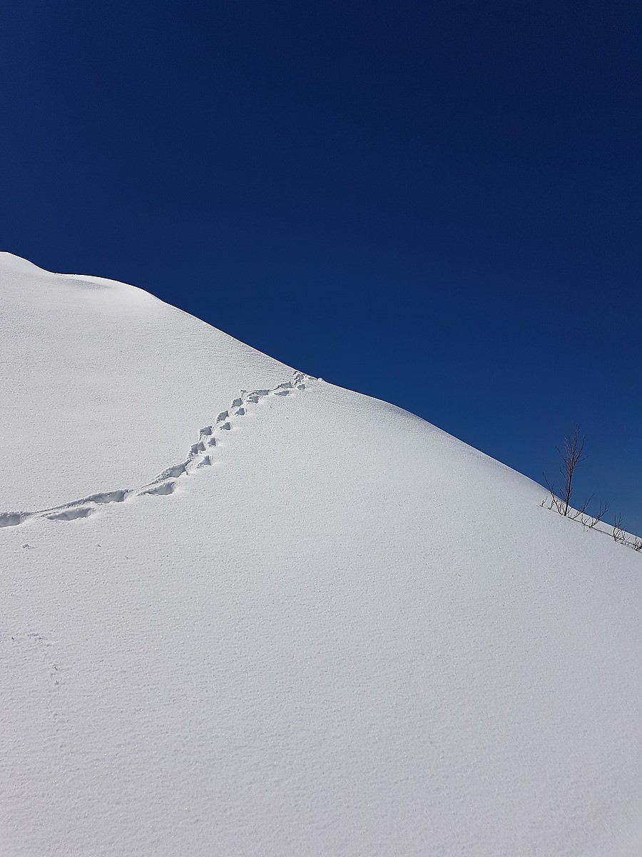 Minimalismo...in vetta