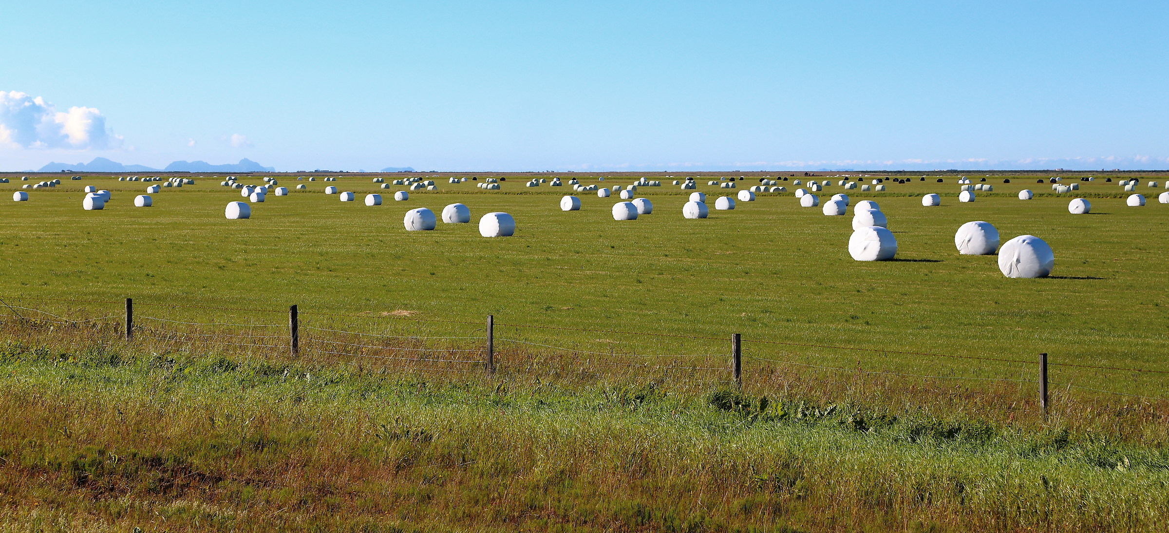 The lawn in a nutshell