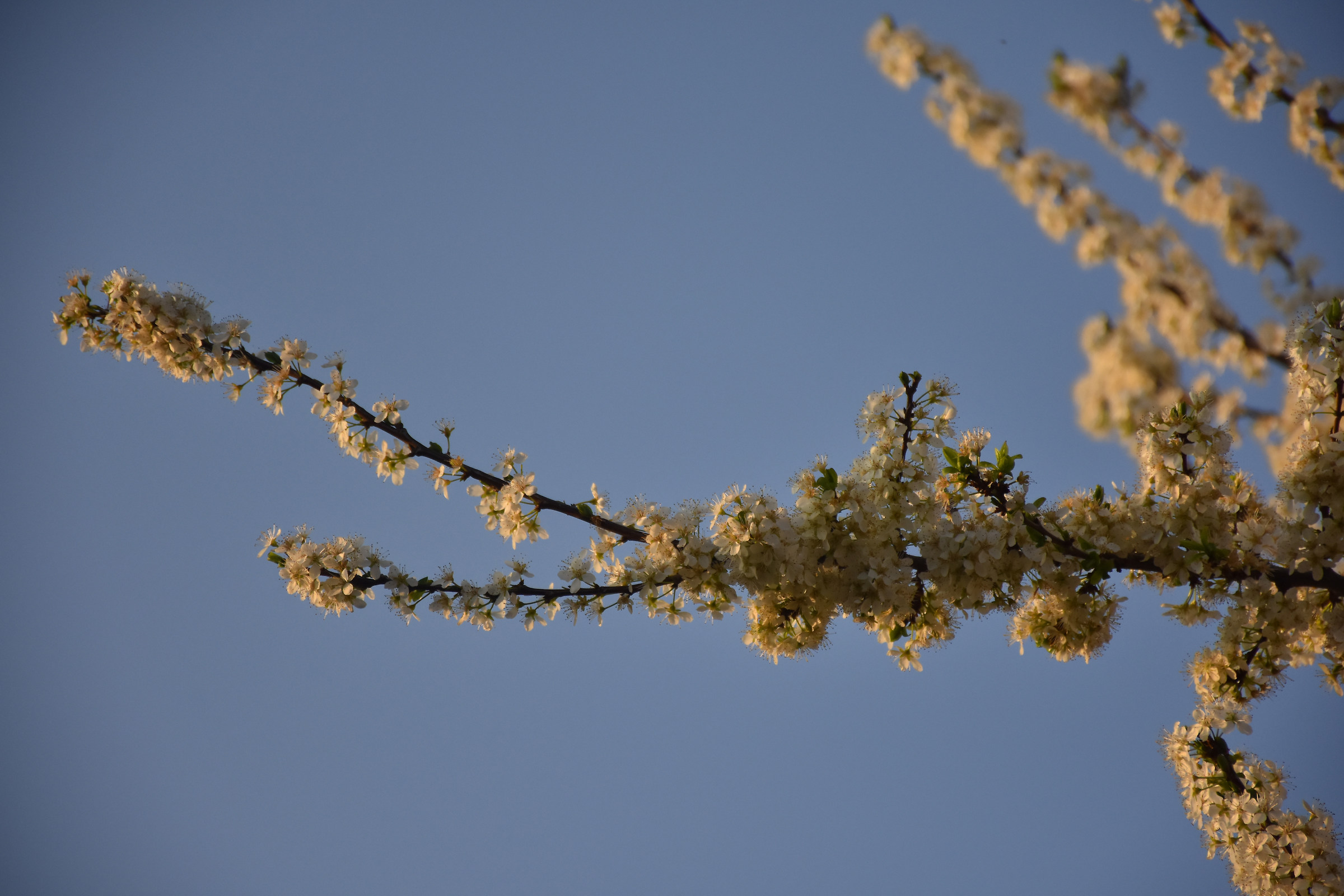 Towards a ray of sunshine