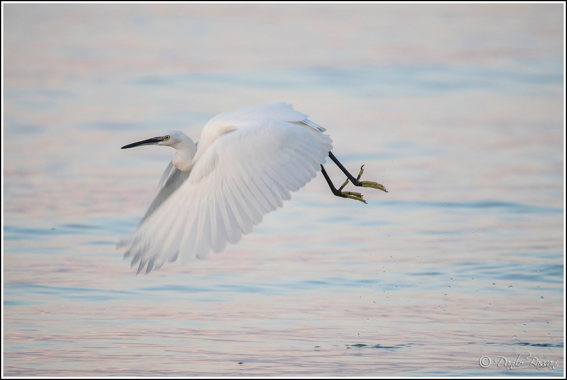 In the light of sunset