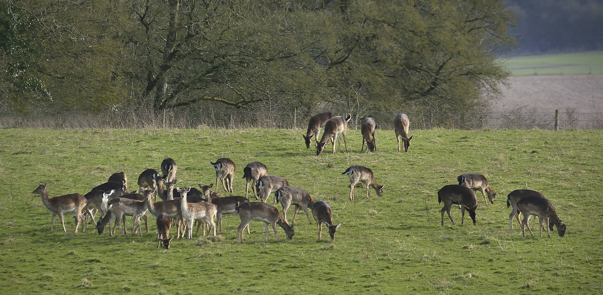 ... E poi, c'erano 27...