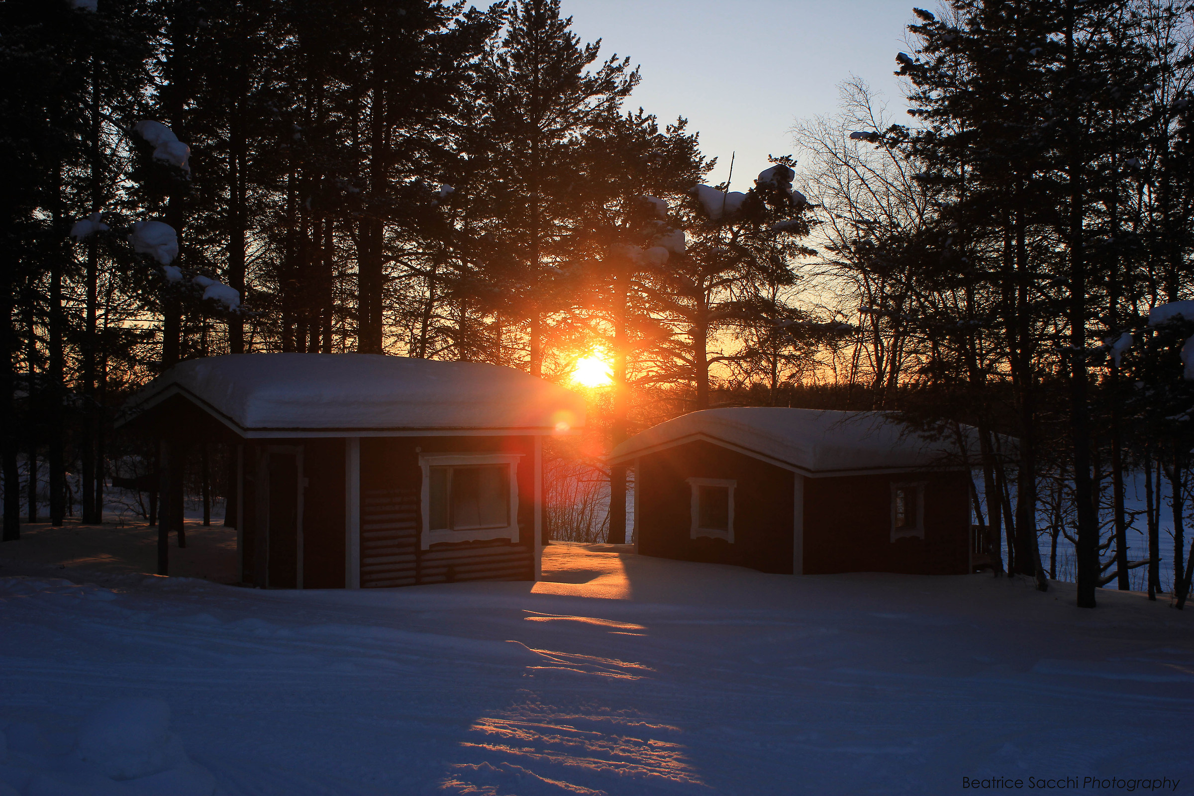 Il Bacio della Buonanotte
