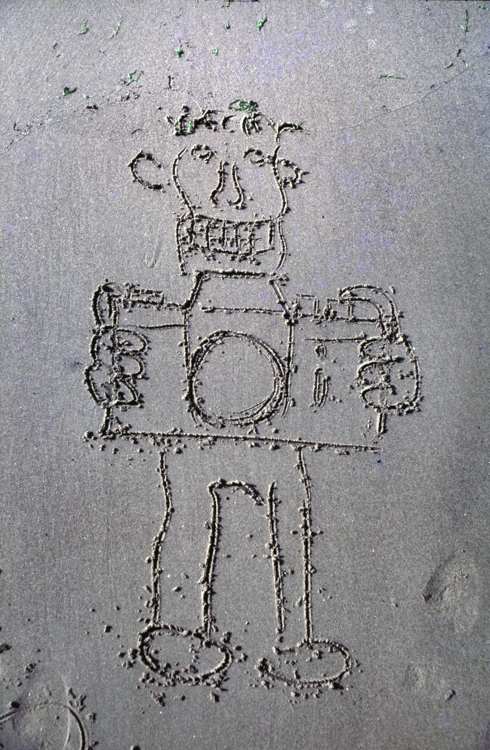 selfie sulla spiaggia