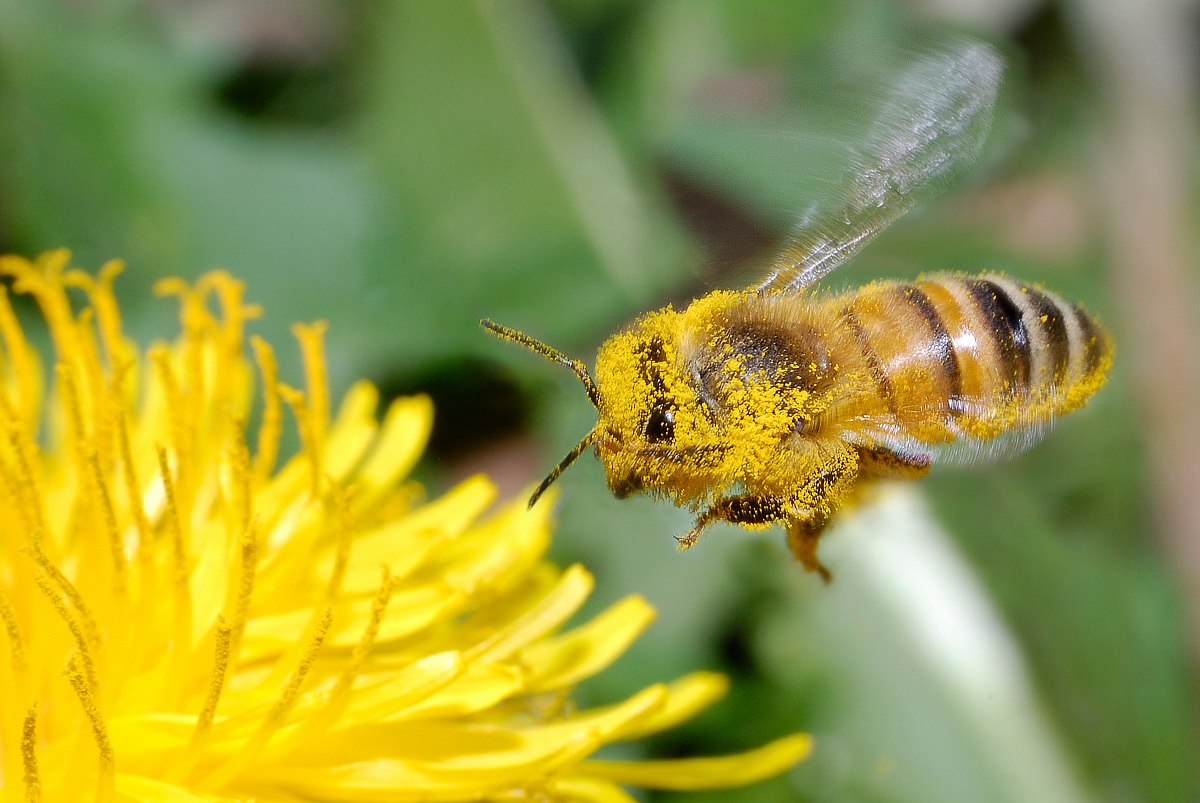 Un altro tuffo poi basta....