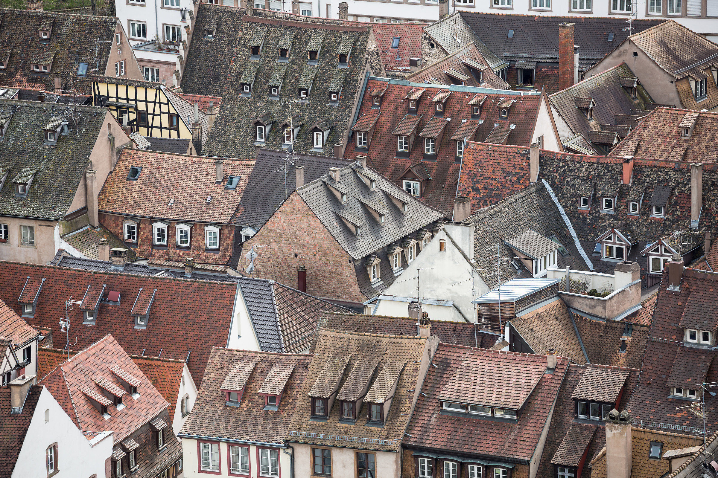 The roofs of Strasbourg