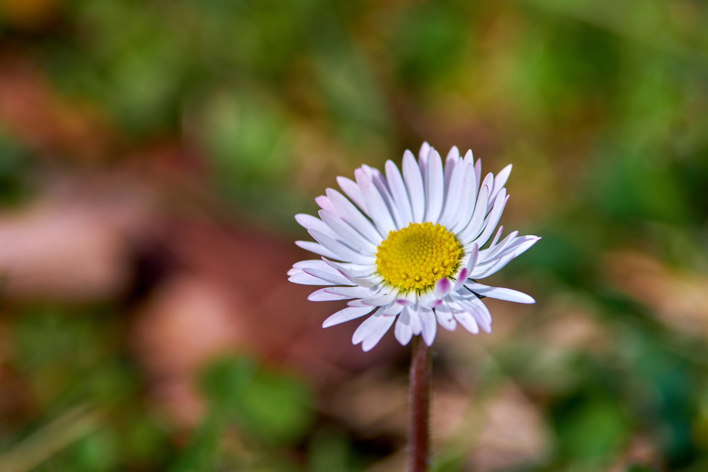 Appello 21 Marzo 2018... presente!
