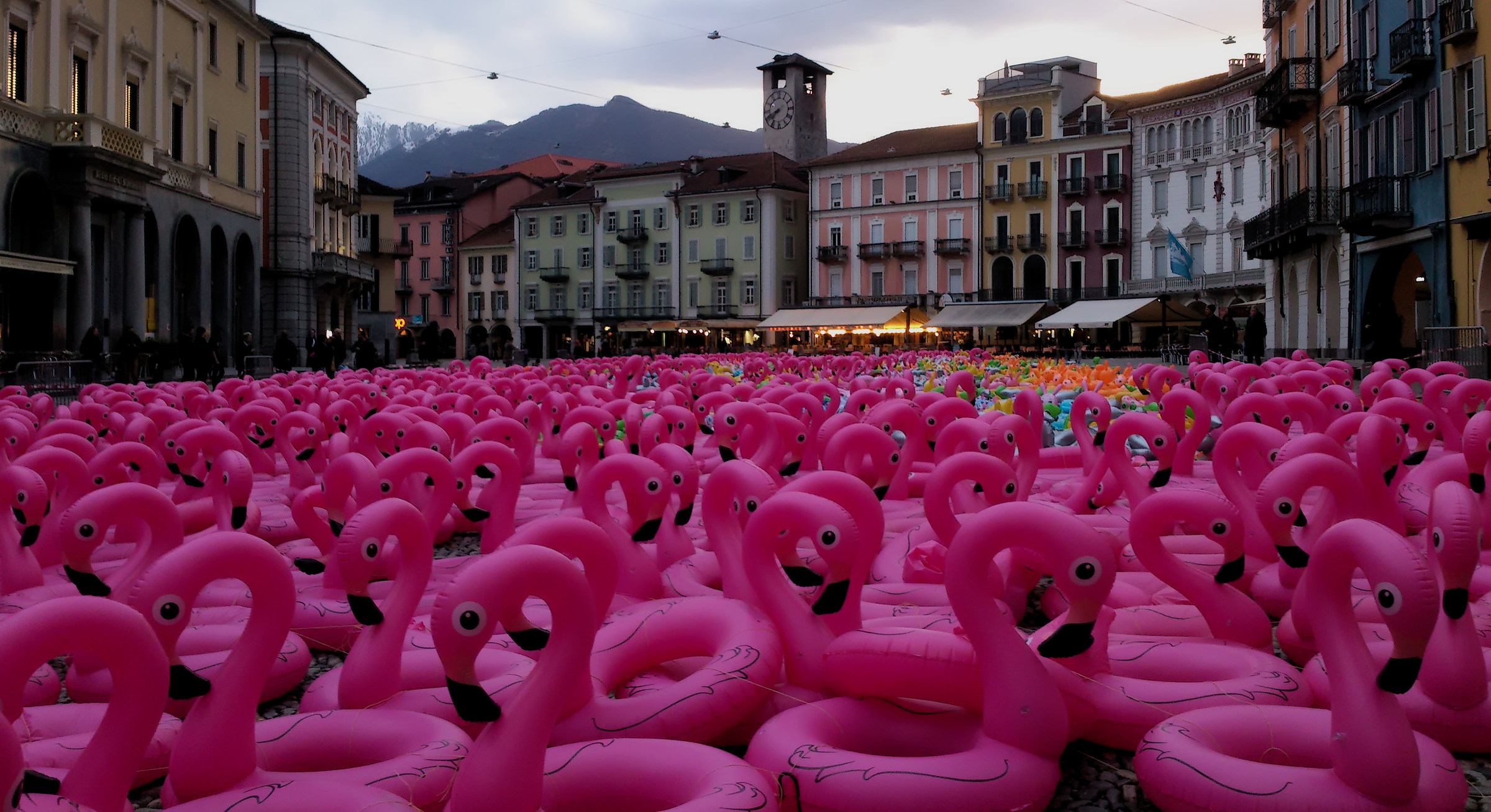 Fenicotteri in Piazza Grande / Locarno