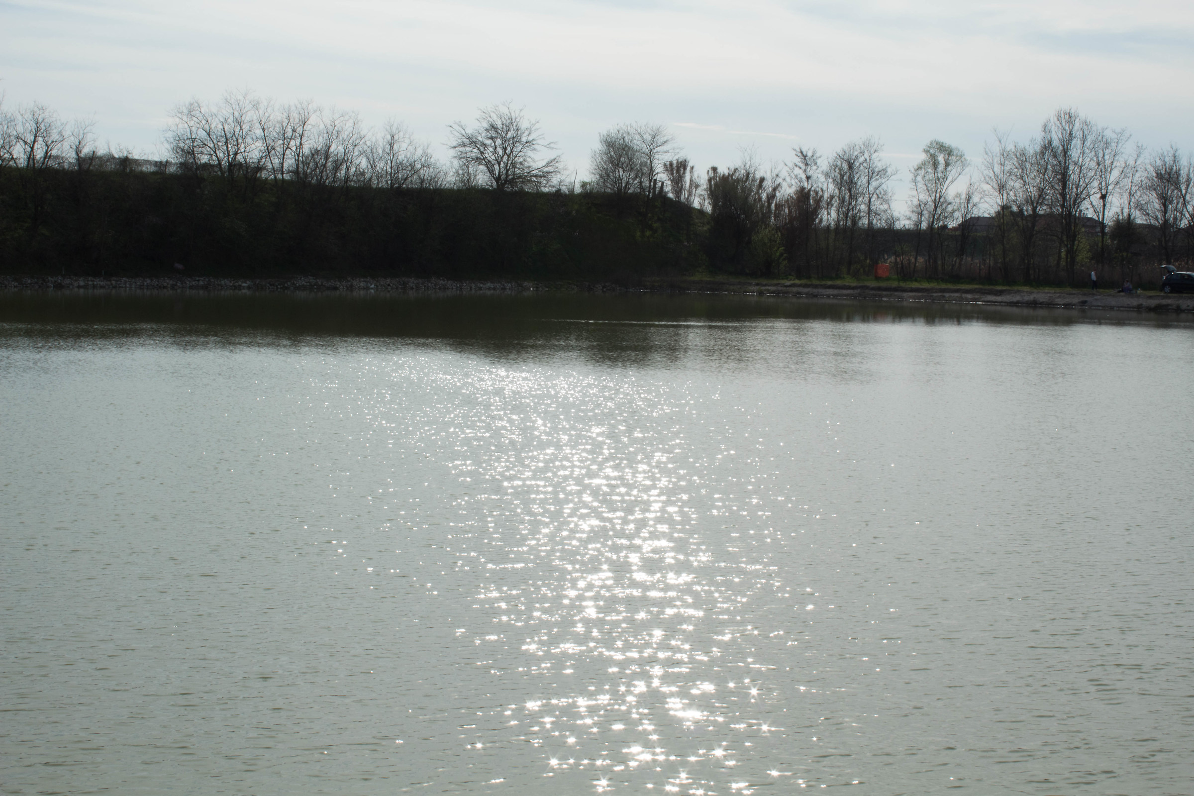 Laghetto - Villabella (vr)