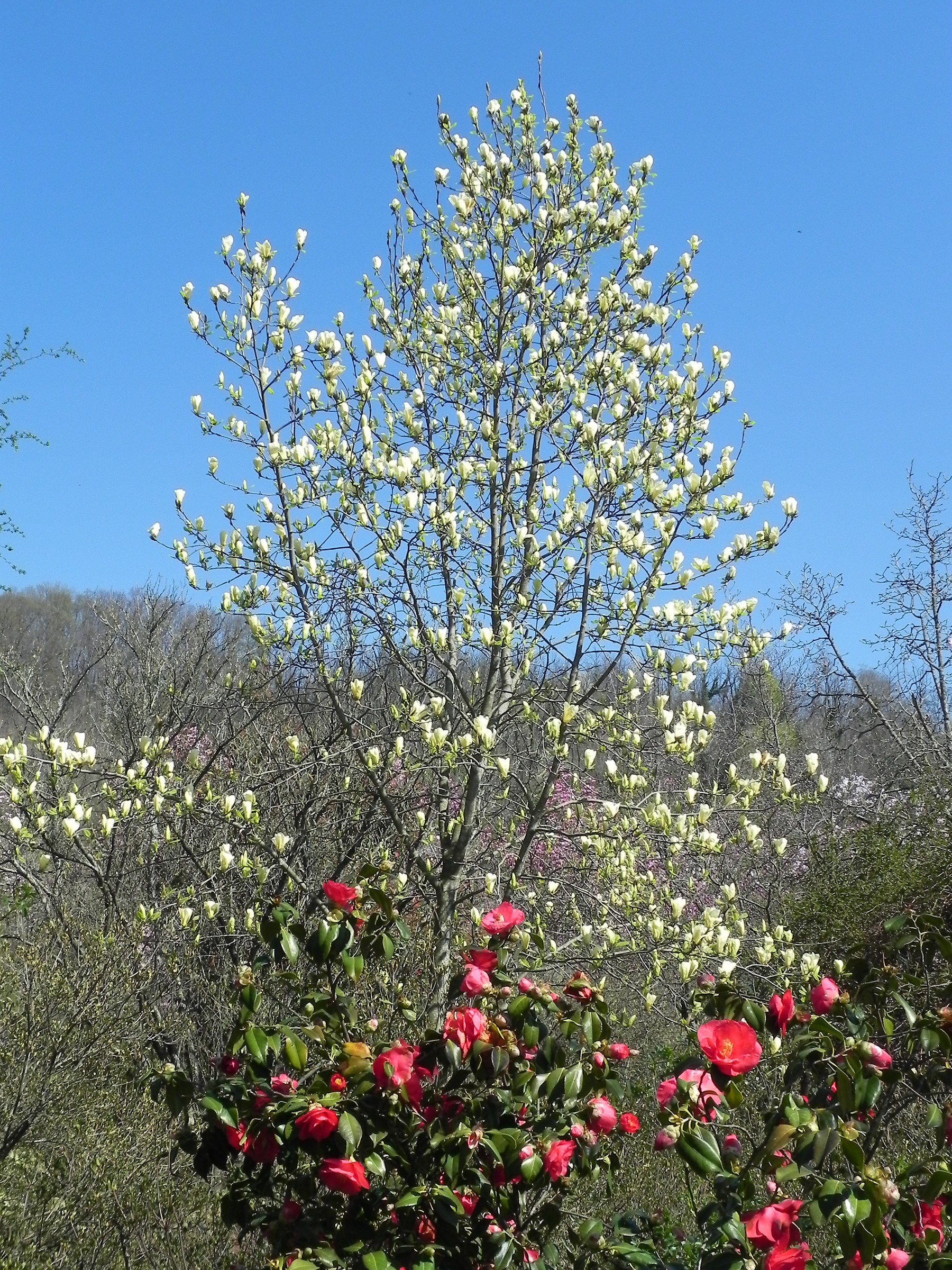 Closed. We open tomorrow.