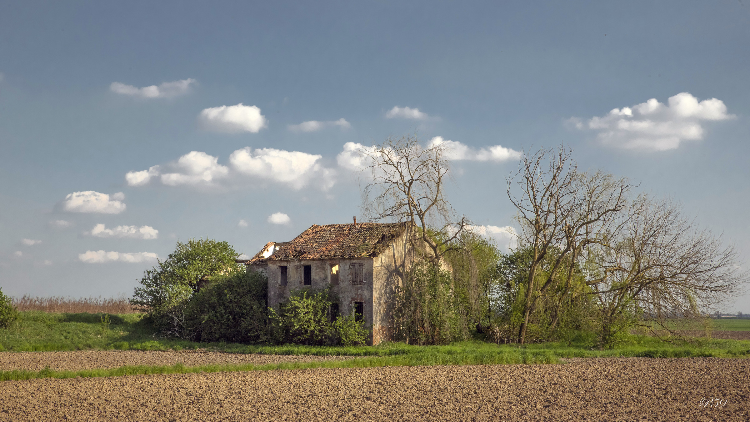 A zonzo per la campagna