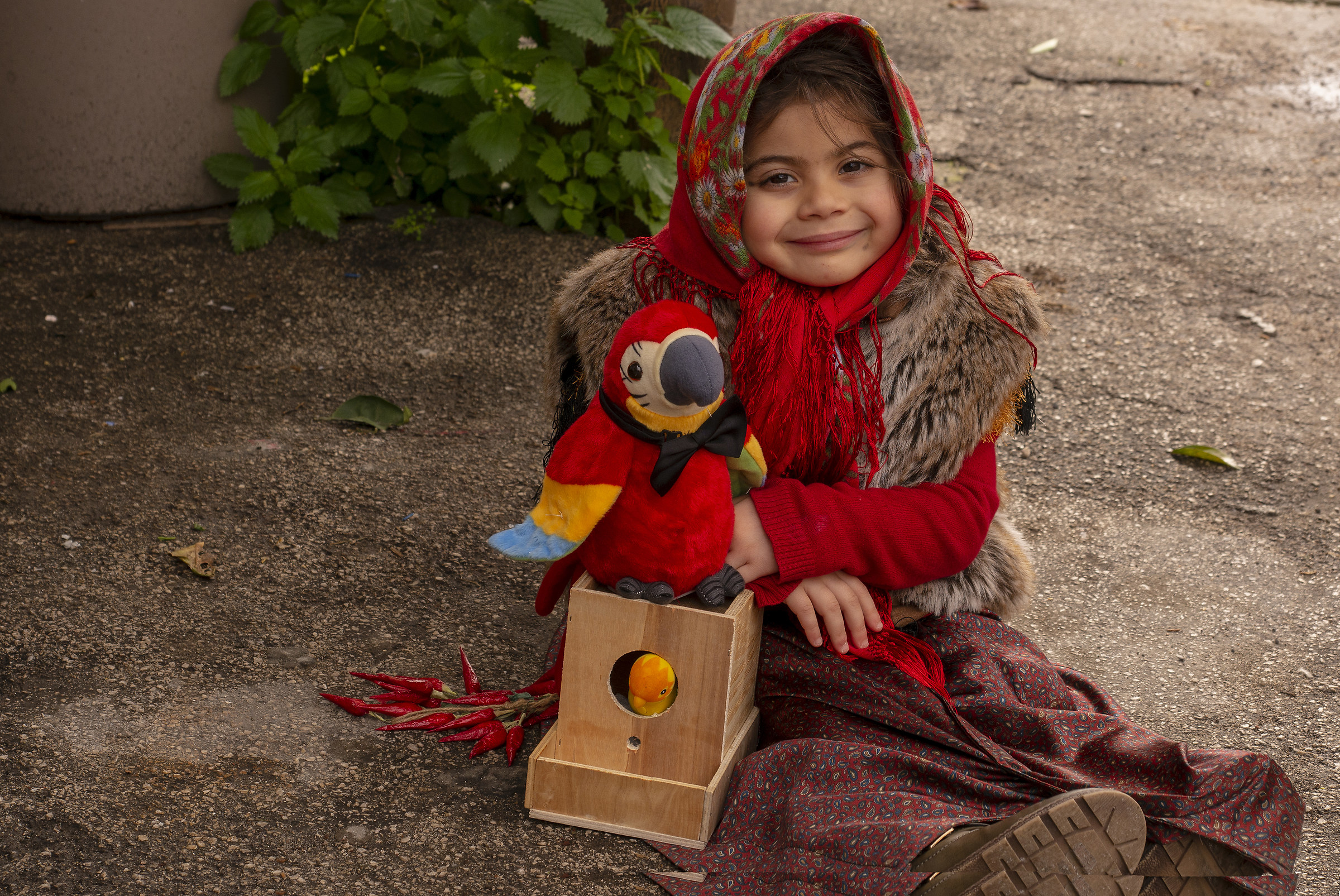 Carnevale........o no?