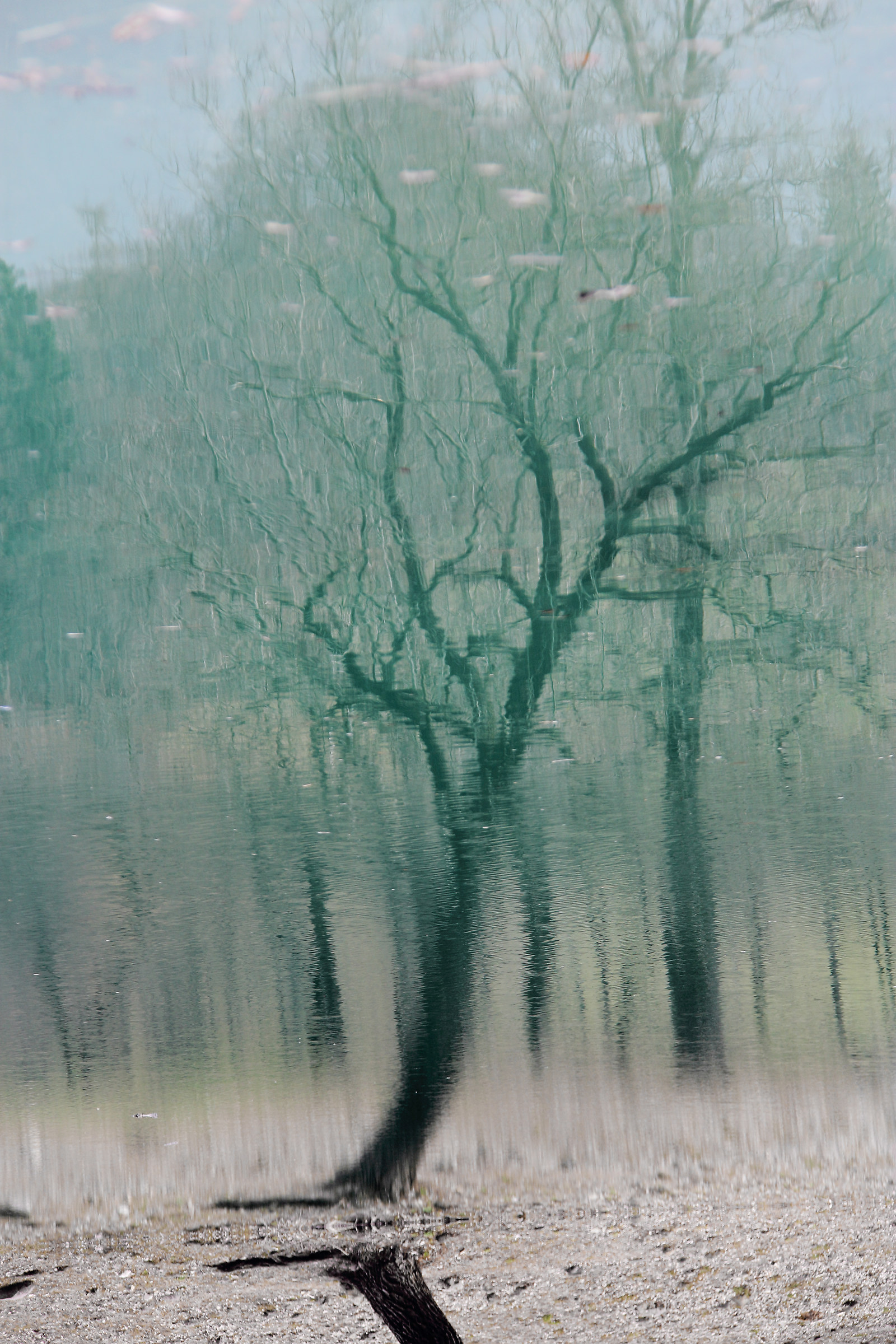 Riflessi nel lago di Tenno