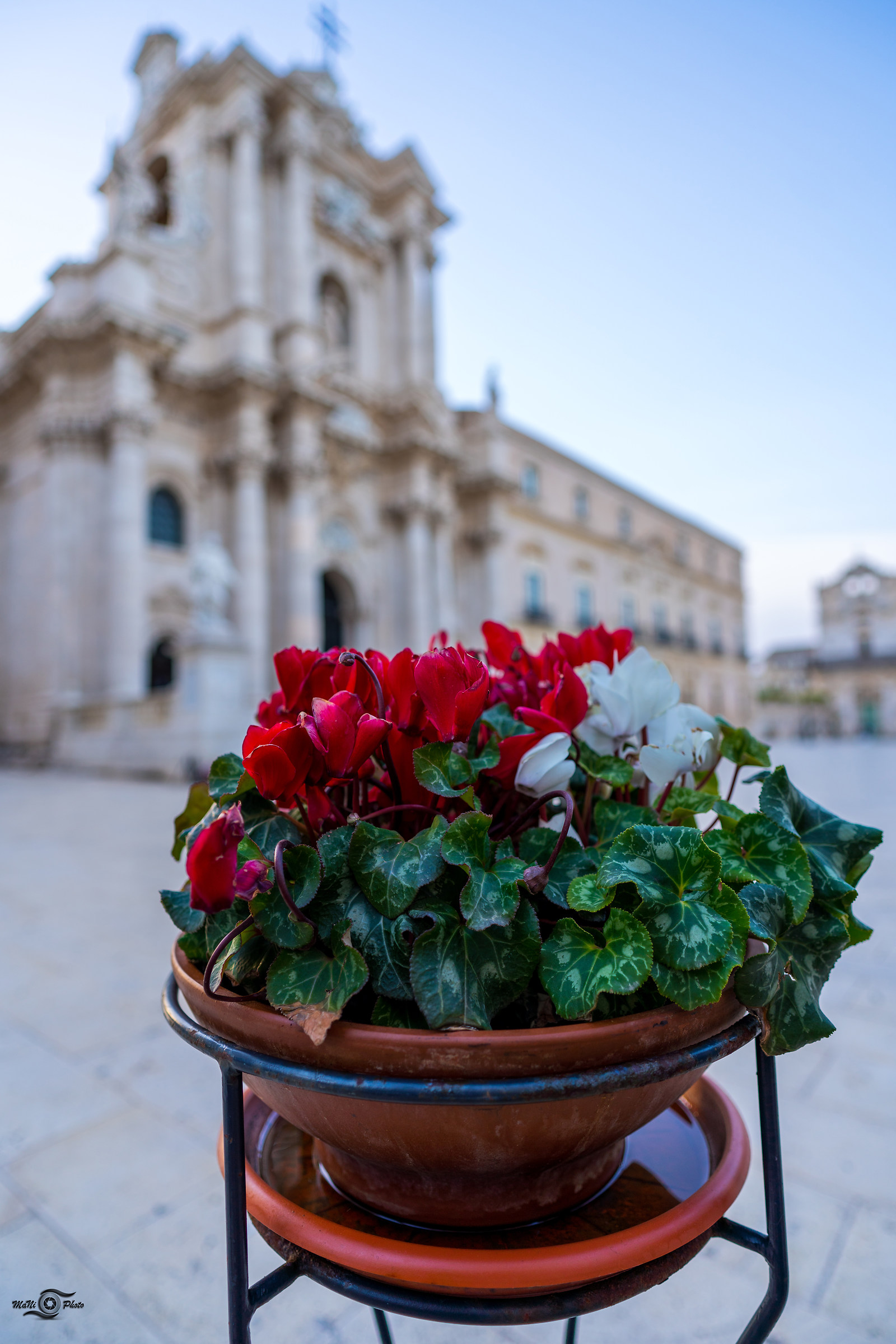 Sfocato Tokin 20Firin