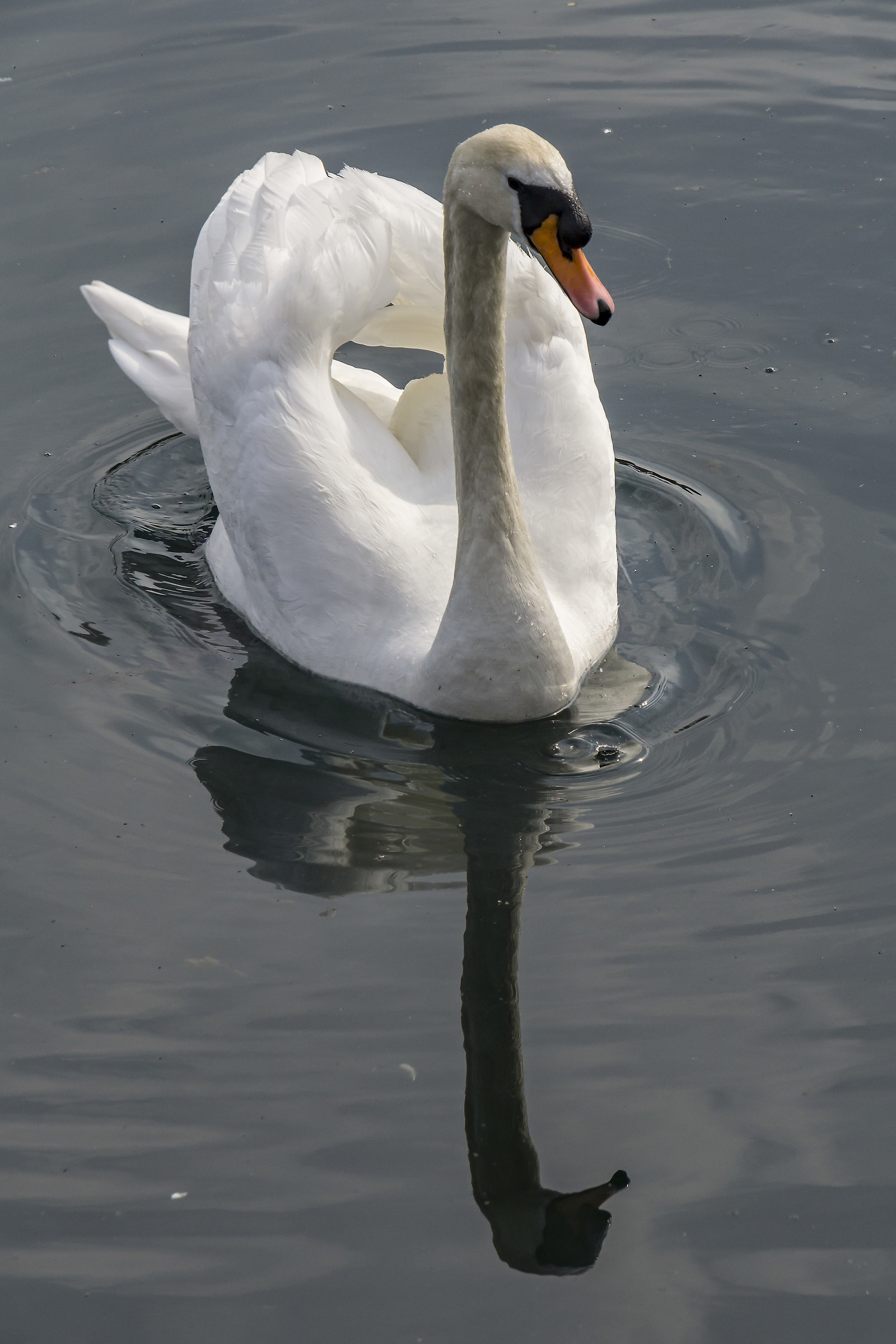 Sunday 8 April 2018, 16:19-1