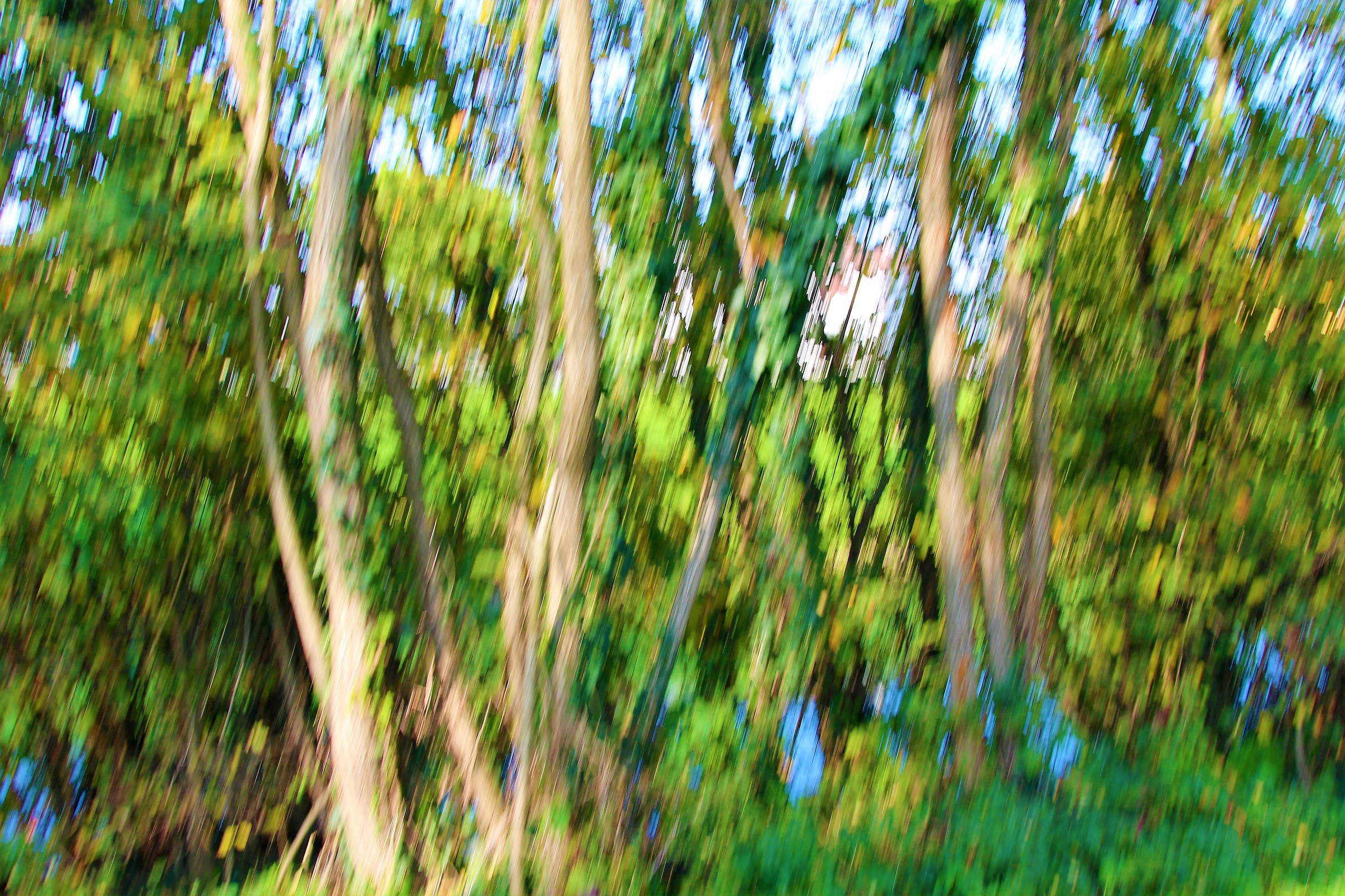 Come  una pioggia di cristalli