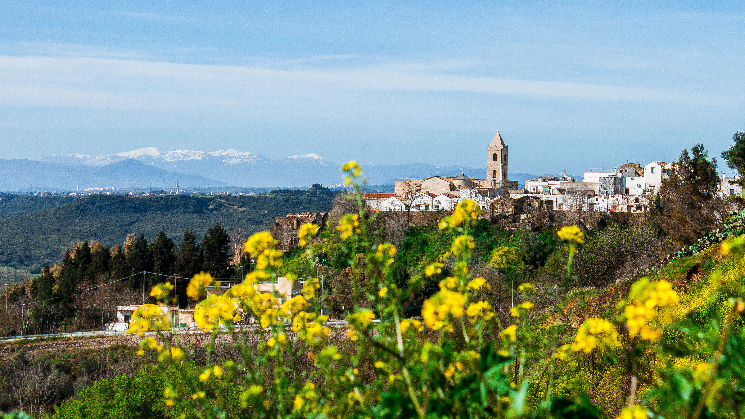 Fiori,Colline e montagne innevate