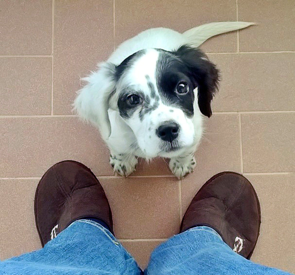 The tender gaze of Kira