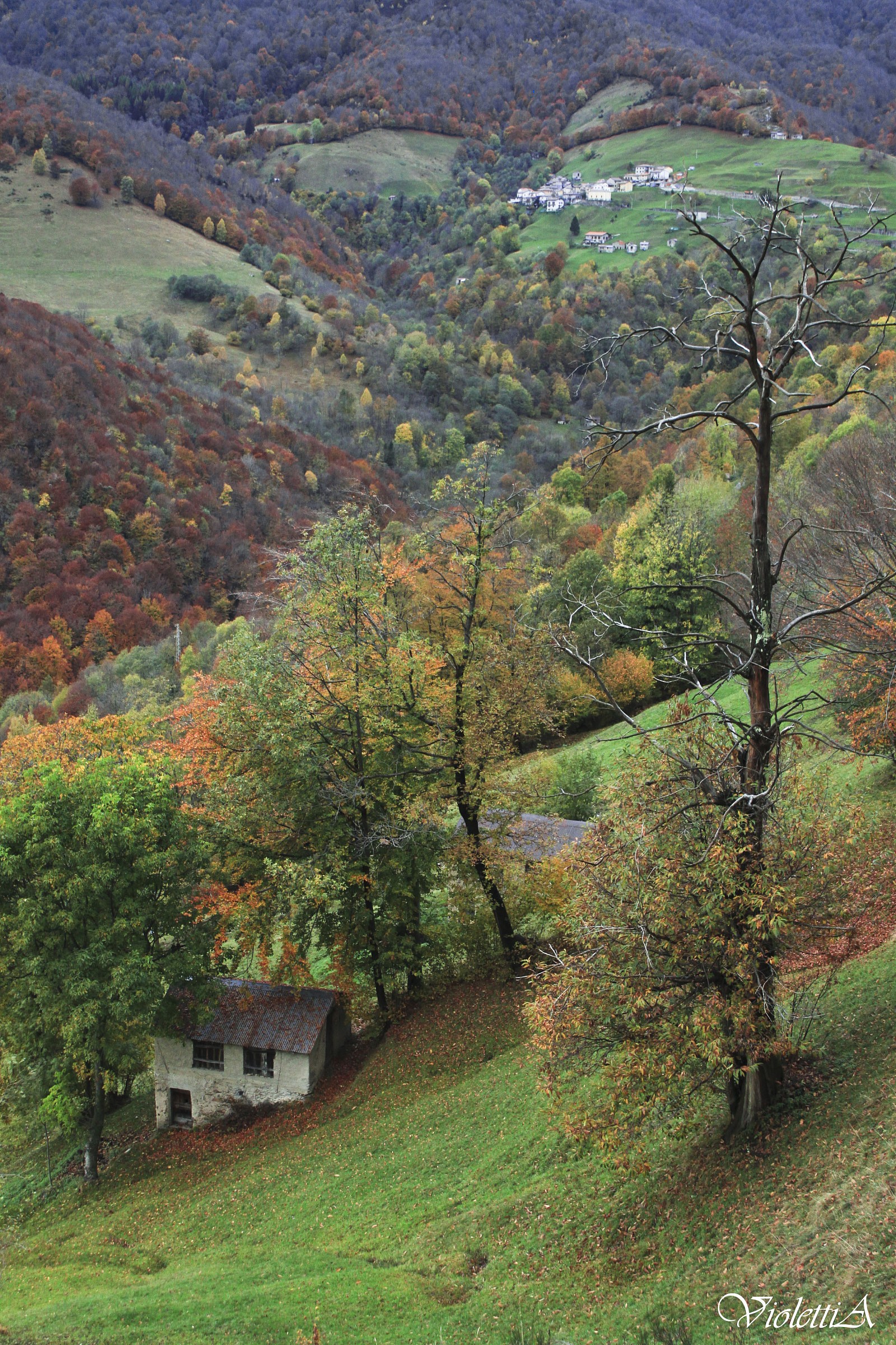 Autumn in Val Rezzo