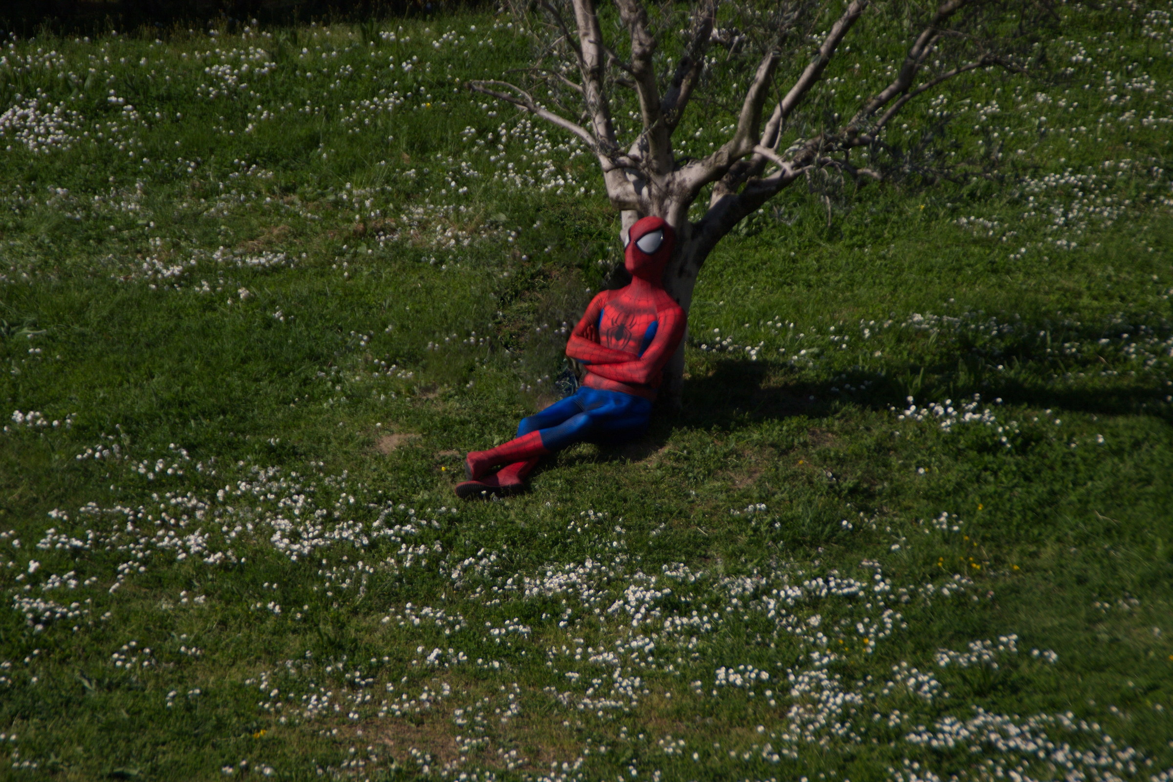 Instead of taking pictures, l & #39; Spiderman rests ...