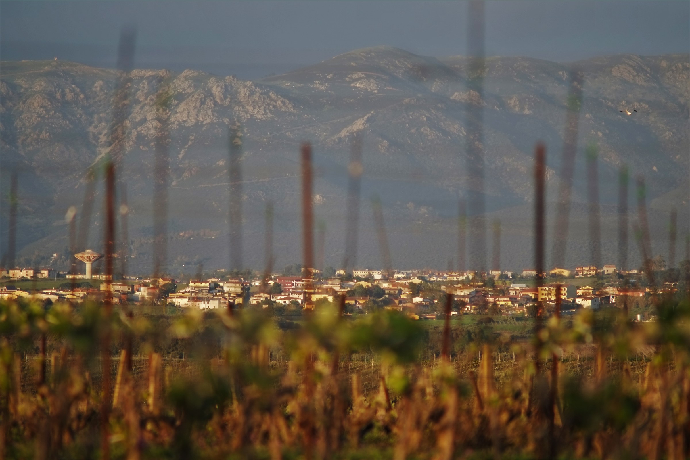 il paese dalla vigna