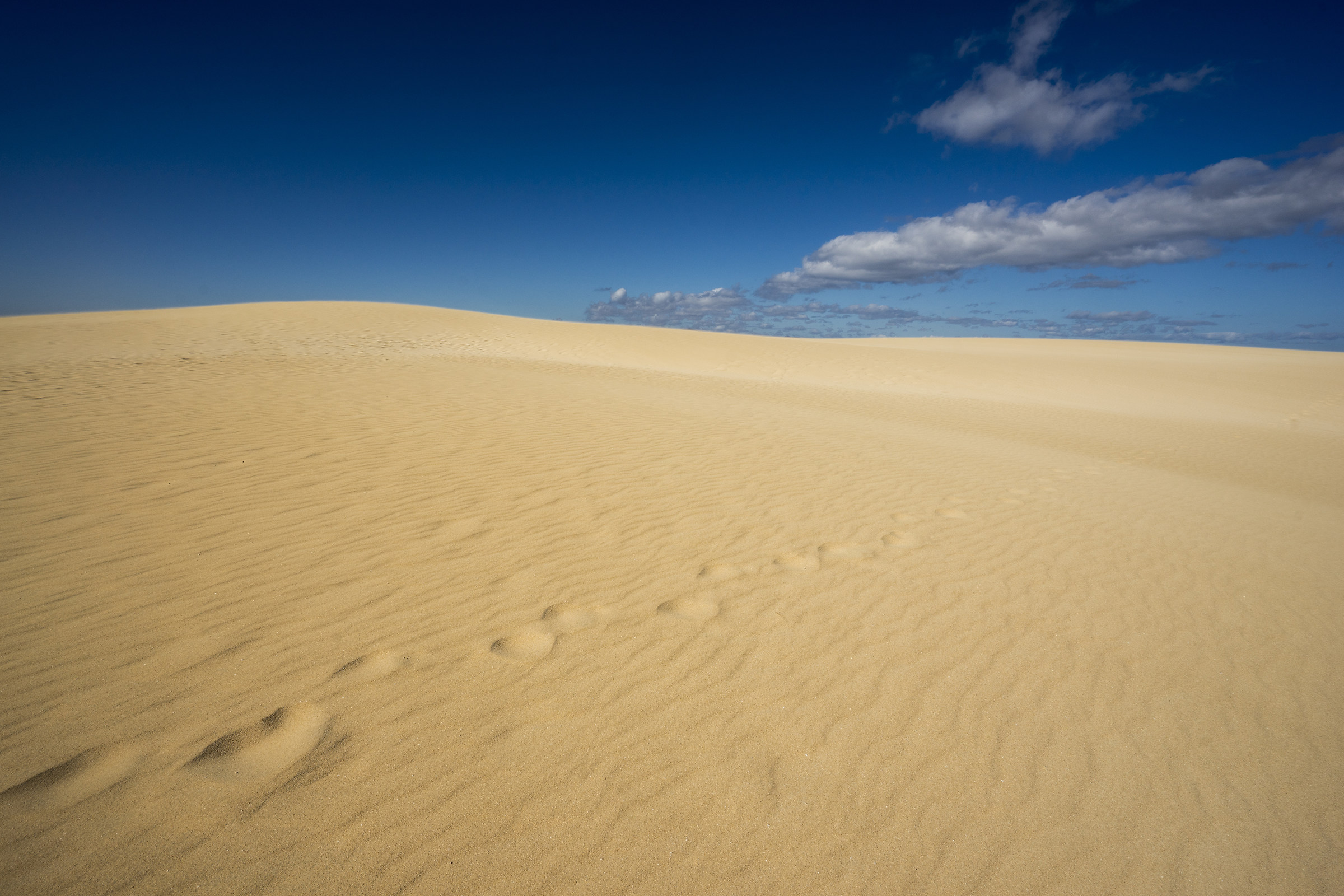 Dune di Corralejo