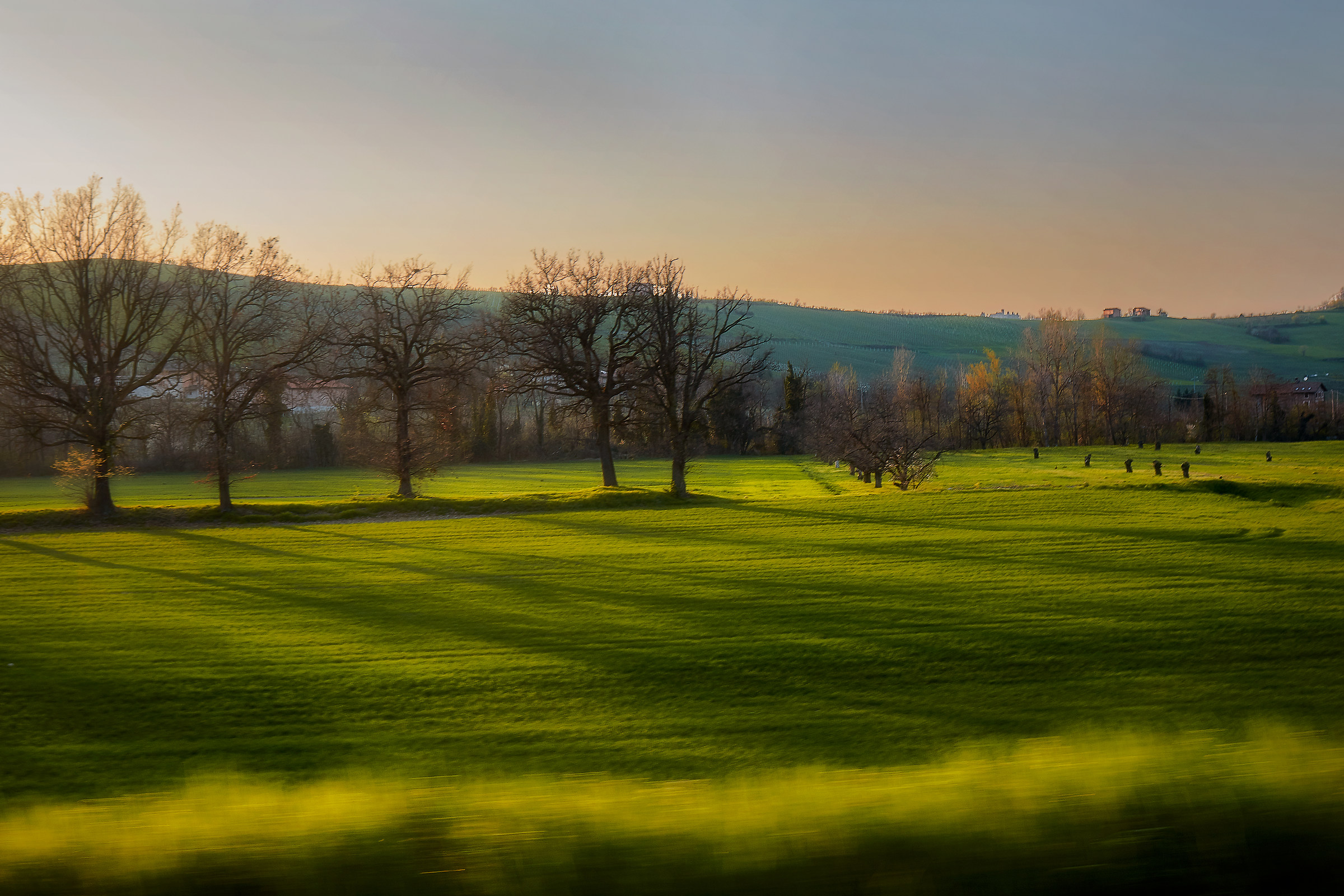 Tramonto tra le querce