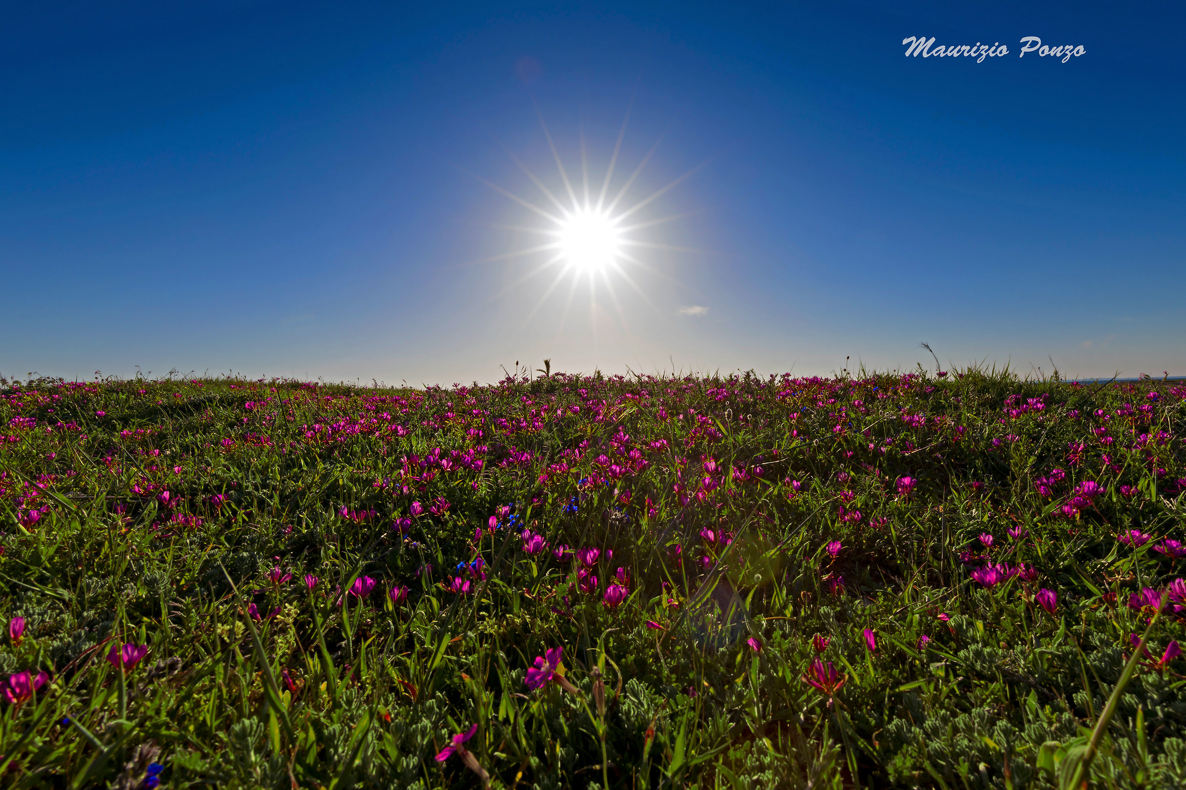 Da sempre la più bella stella tra le stelle.