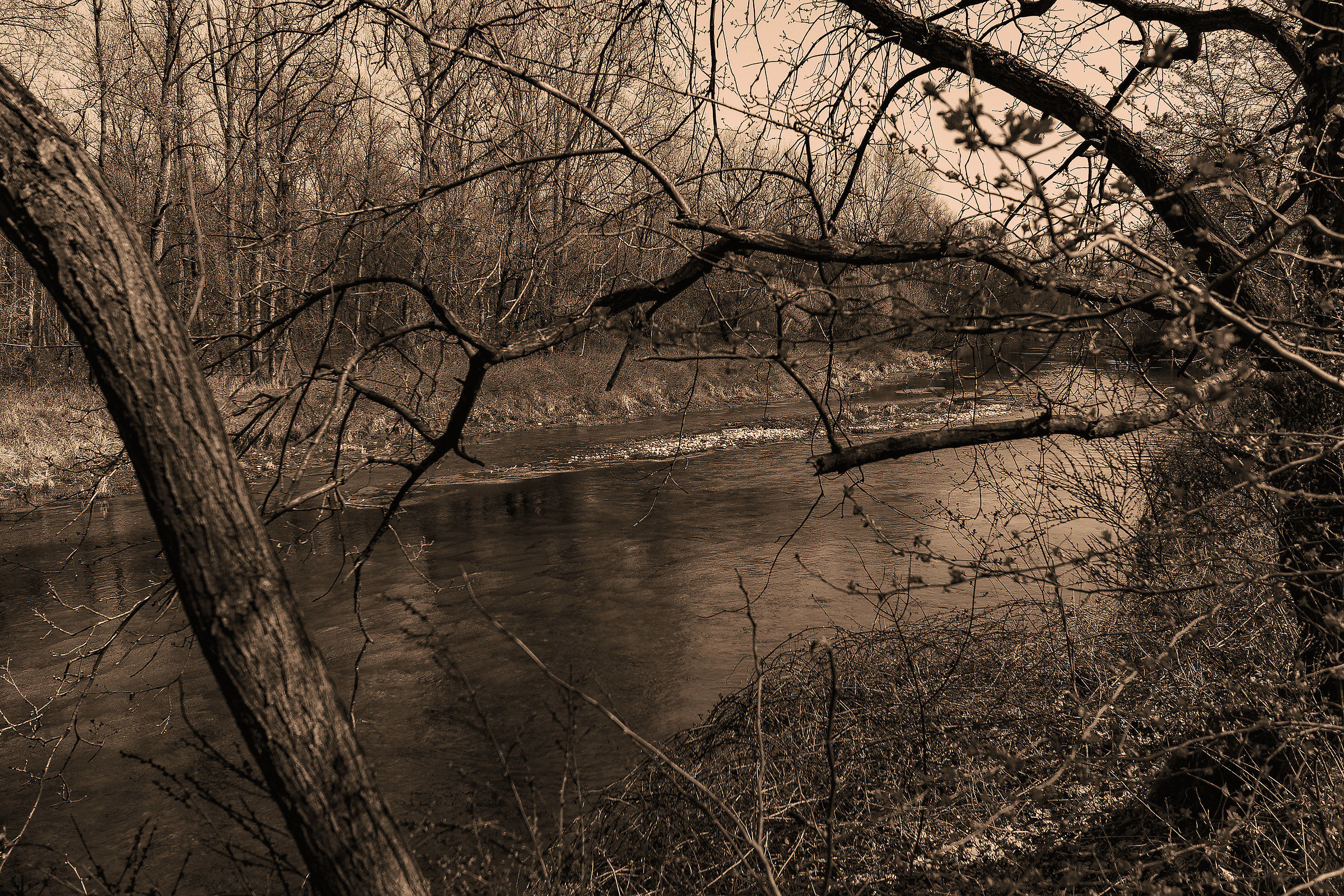 Una giornata uggiosa