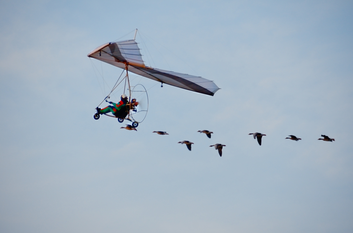 Flying with Grey Goose