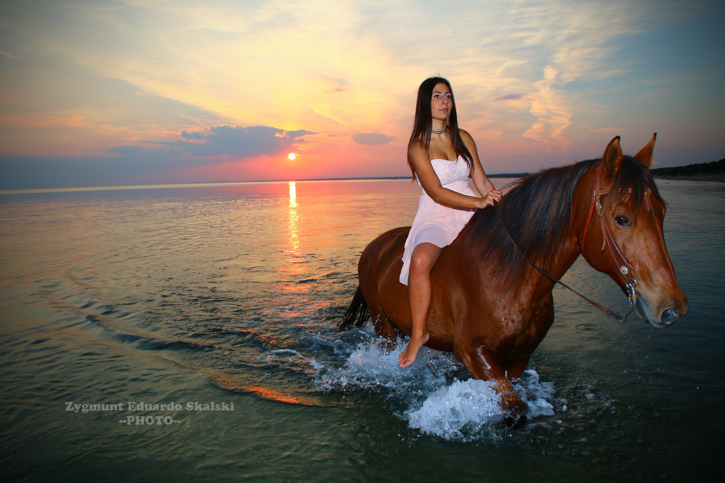 Equestrian Sunset