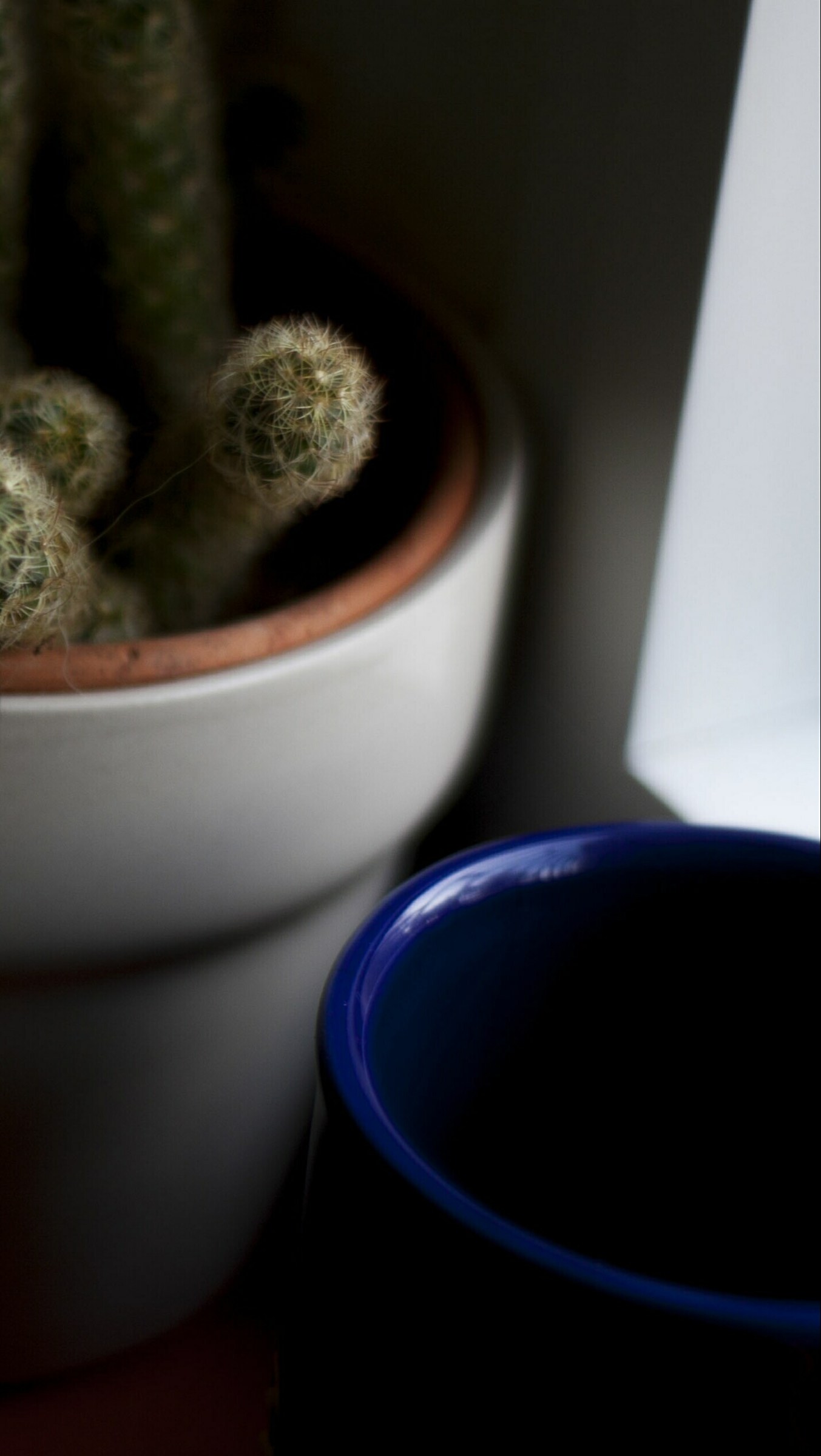 Angles and colors of House