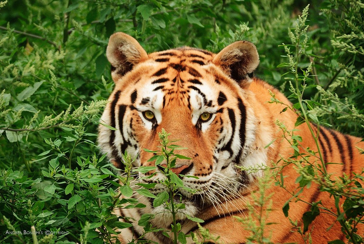 Looks can be deceiving