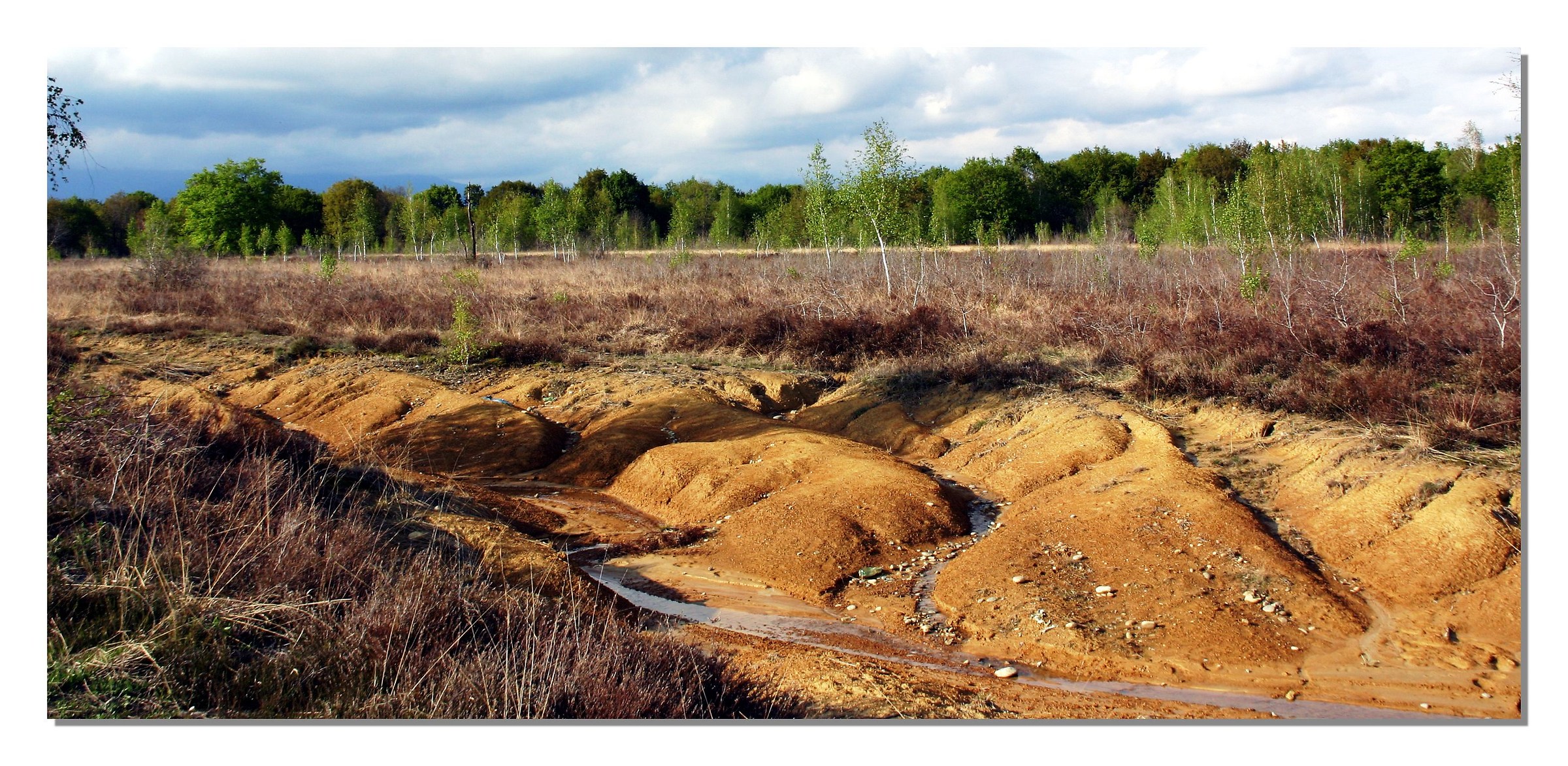 Riserva Naturale delle Baragge (Candelo )