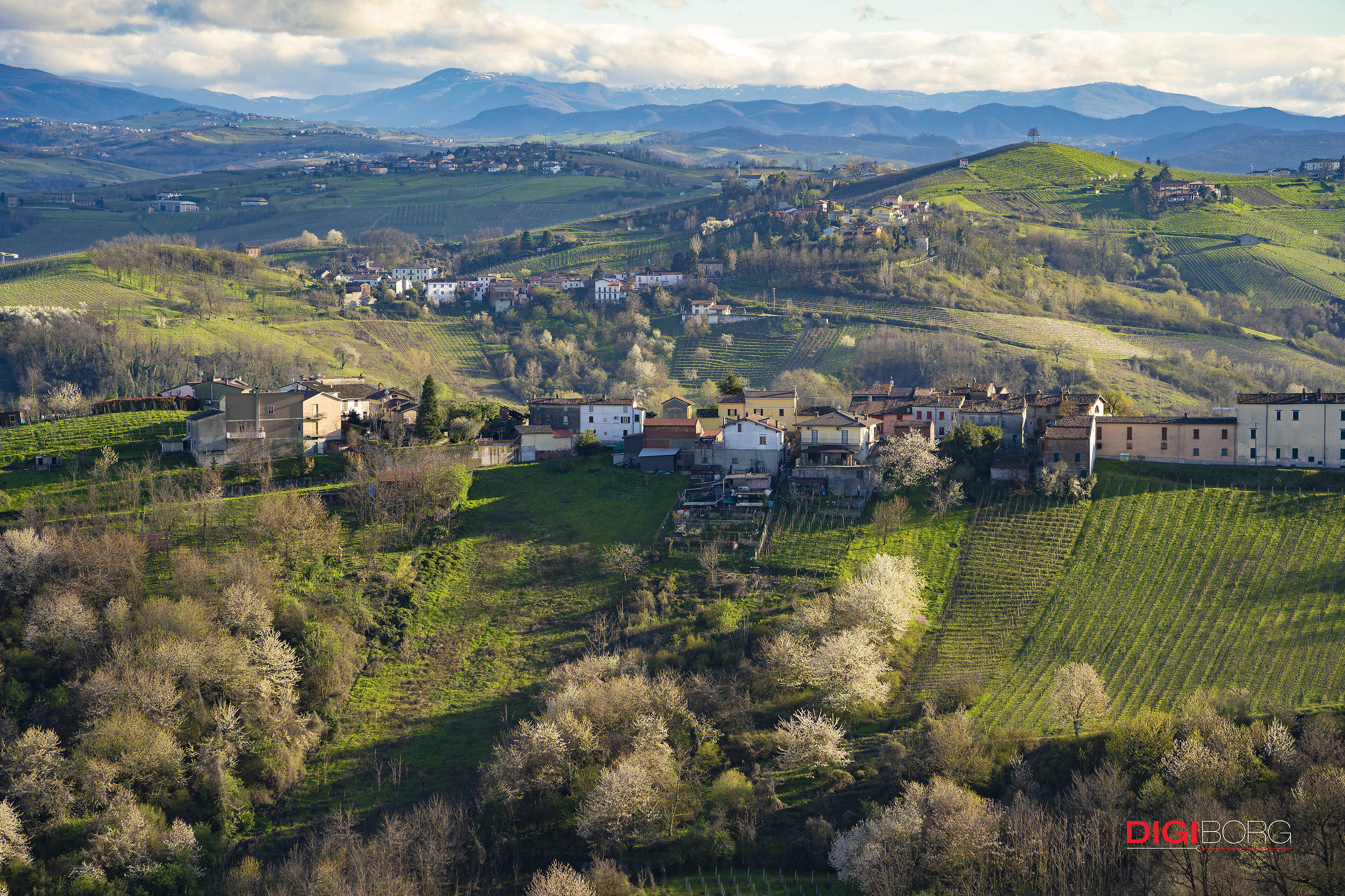 Hills of the Oltrepò Pavese-Canneto