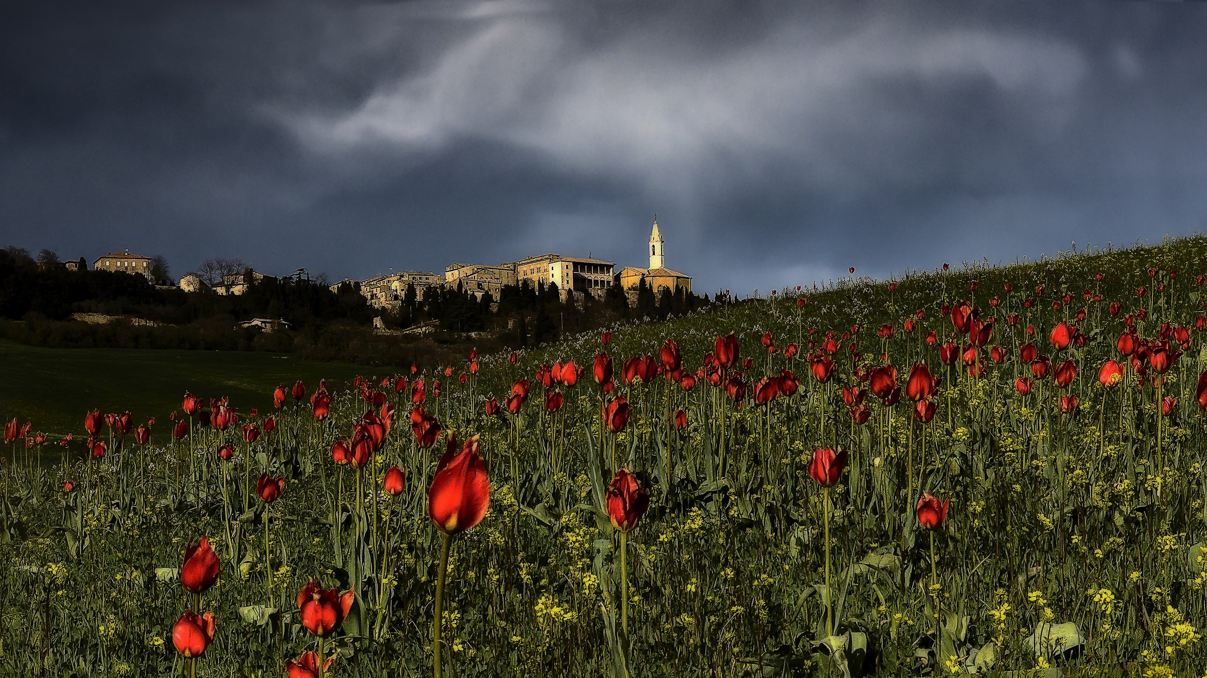 pienza(si) da un prato del " gladiatore"