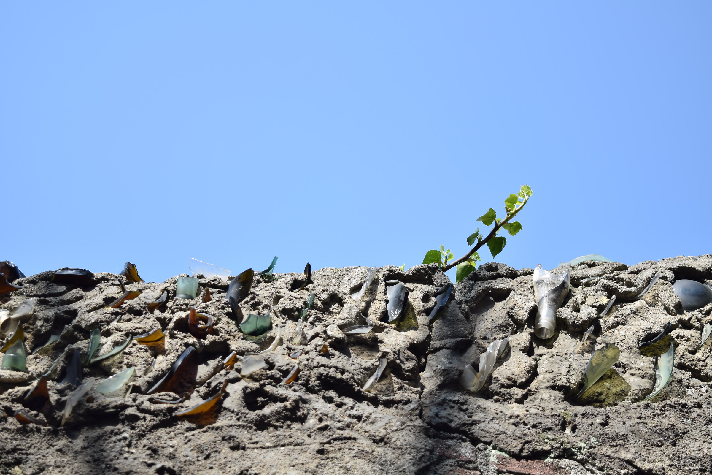Cocci aguzzi di bottiglia
