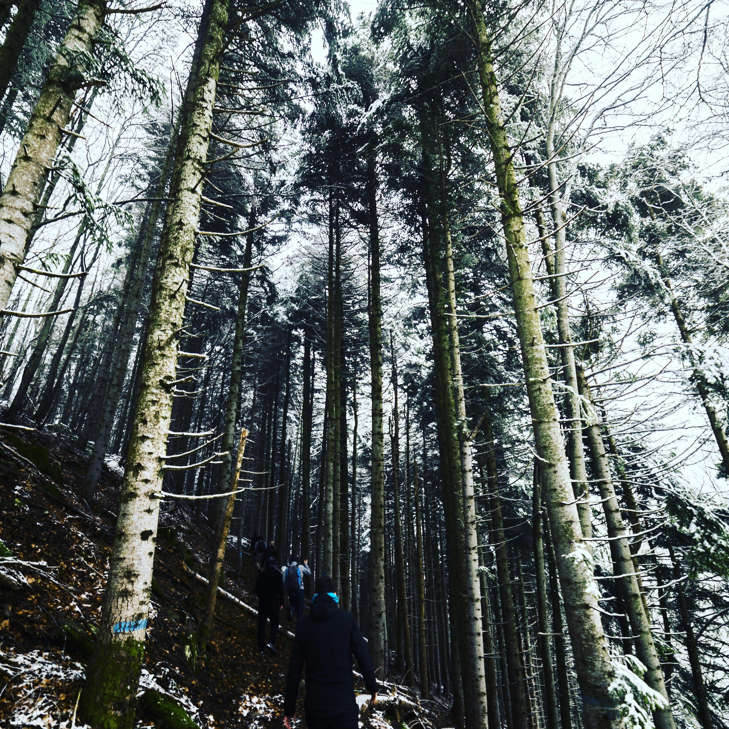 Following the Ushanka